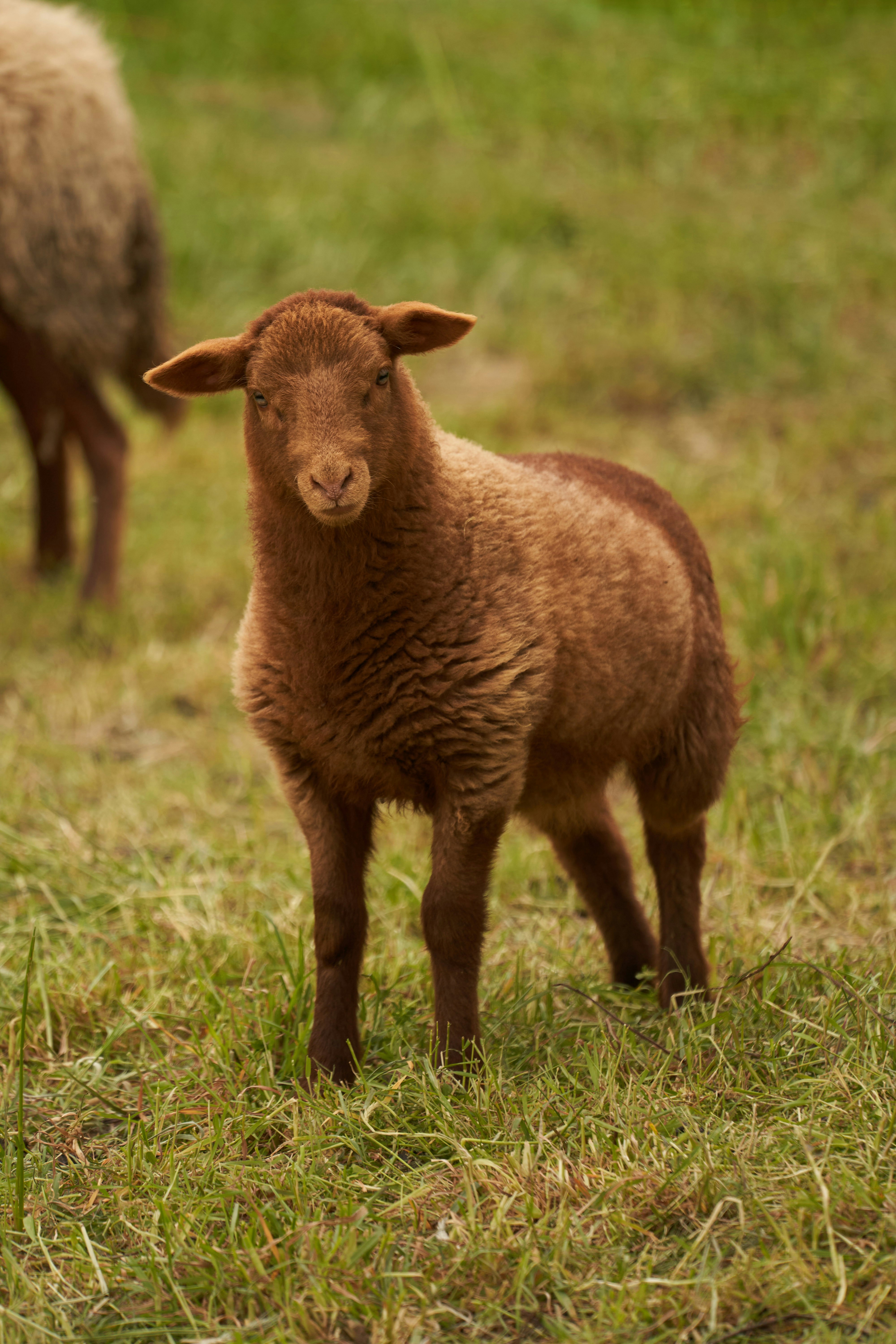 Photo by wolfgang_hasselmann