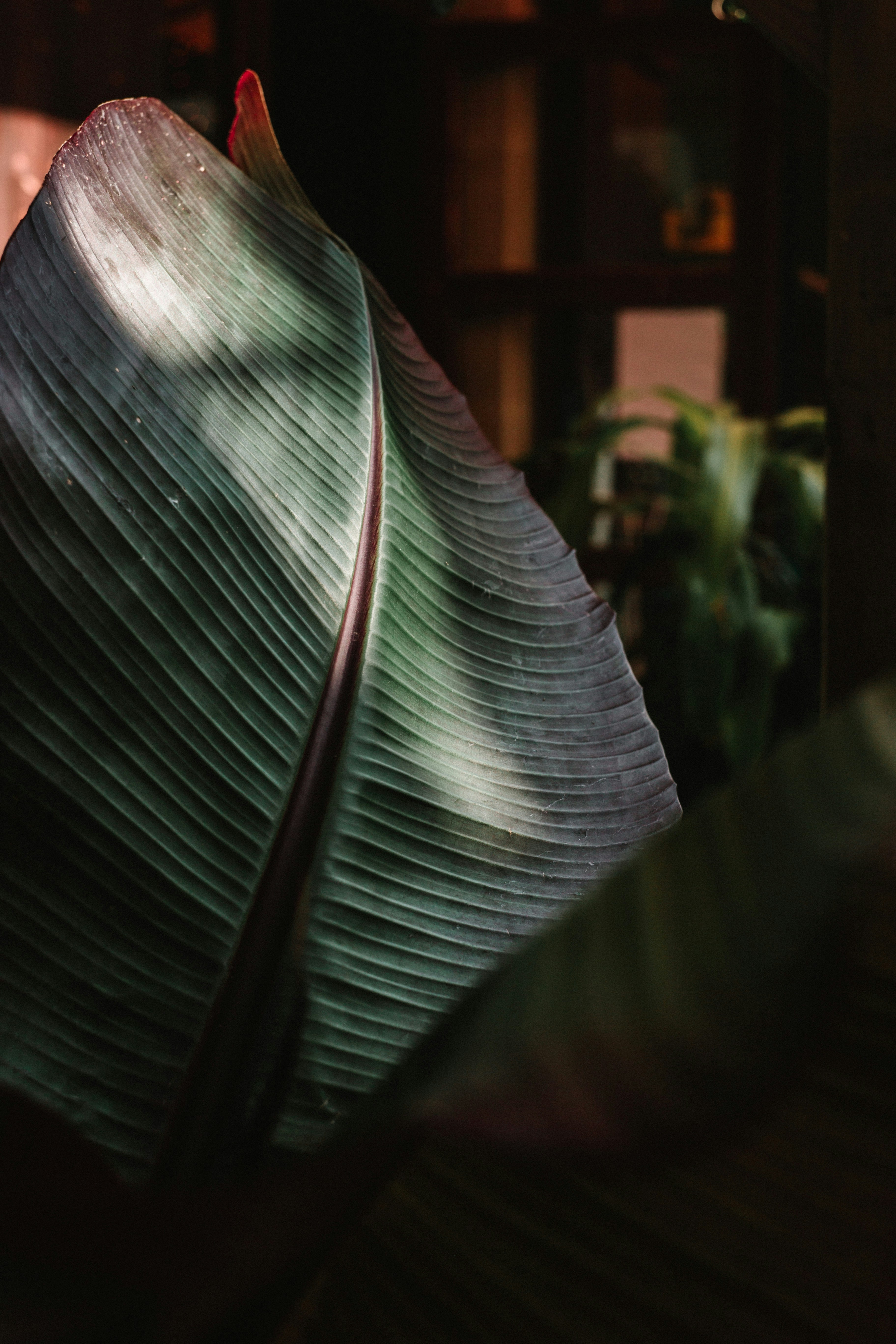 abstract nature wallpaper, wallpaper, Ultra HD Wallpapers: Enhance Your Screen 5