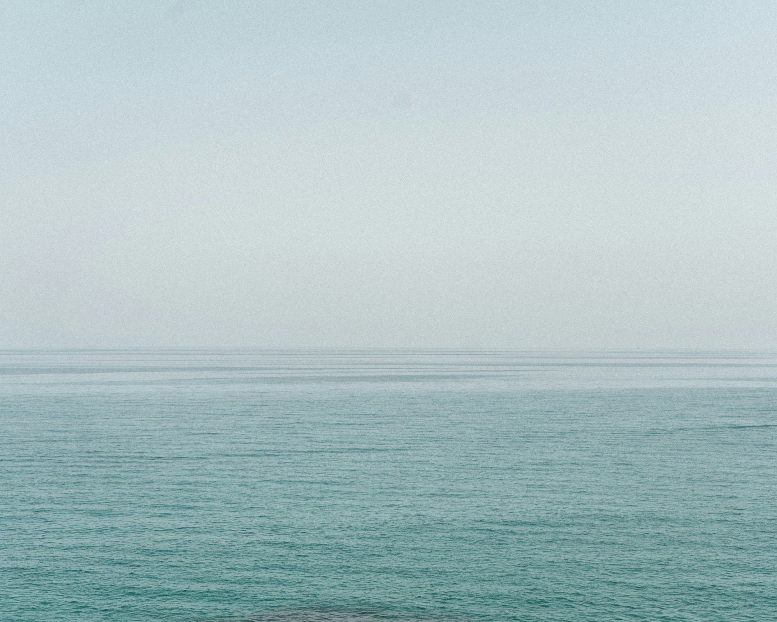 Photo by johannaschrag