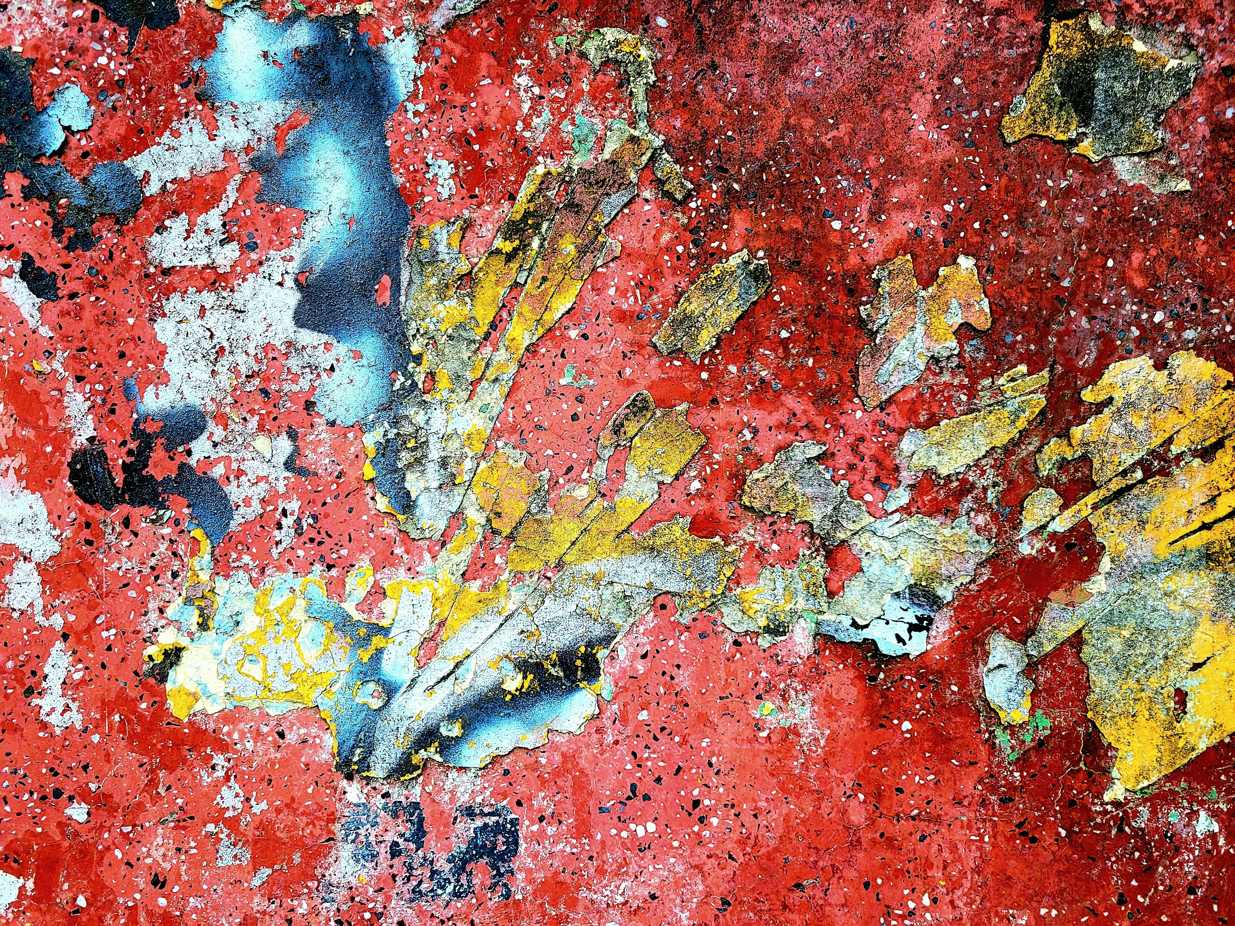 Photo by killari_hotaru