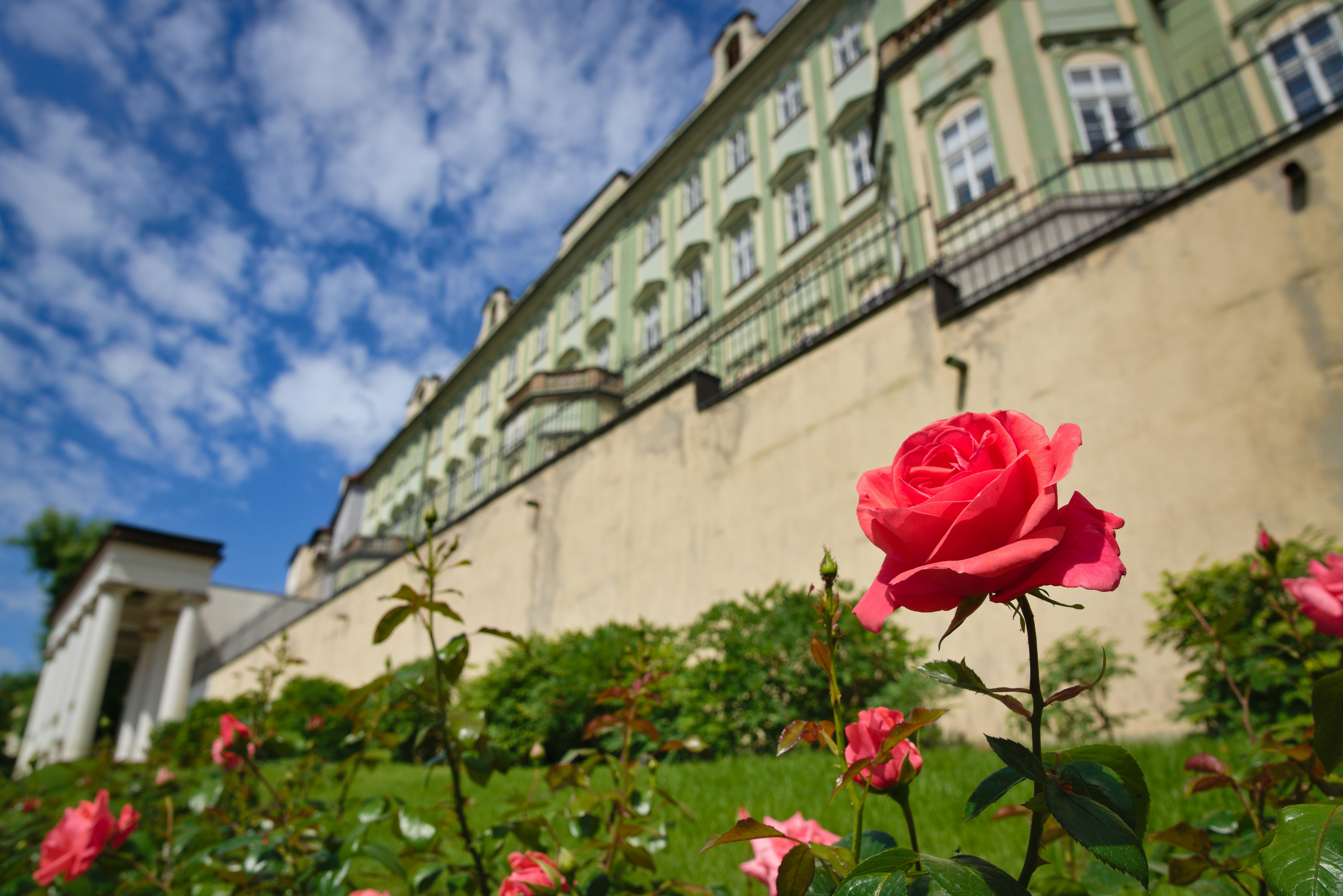 Petrin Hill Prague: Rose Garden Strolls