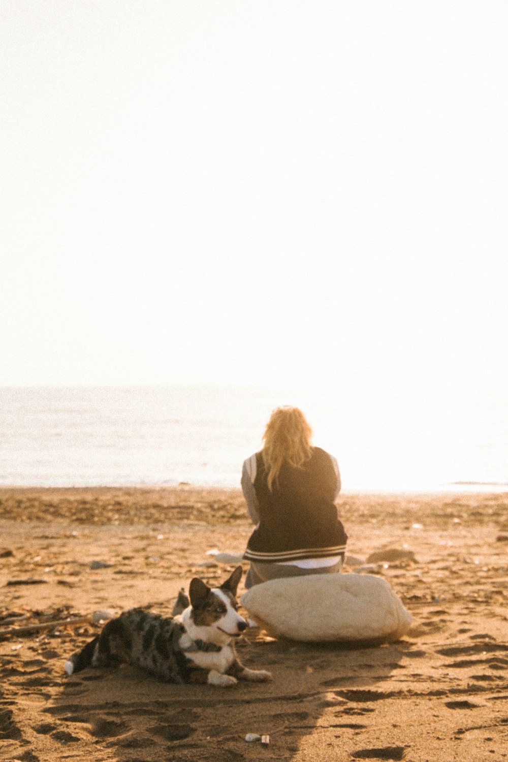 a woman sitting on top of a surfboard next to a dog