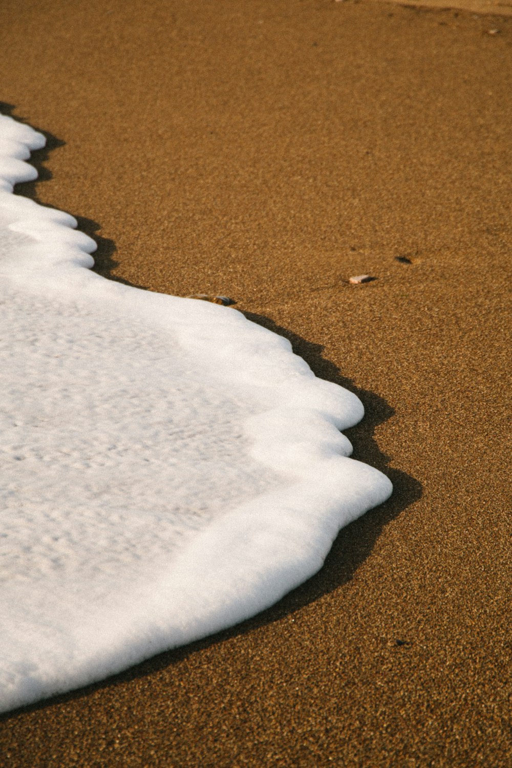 a bird standing on top of a sandy beach next to the ocean