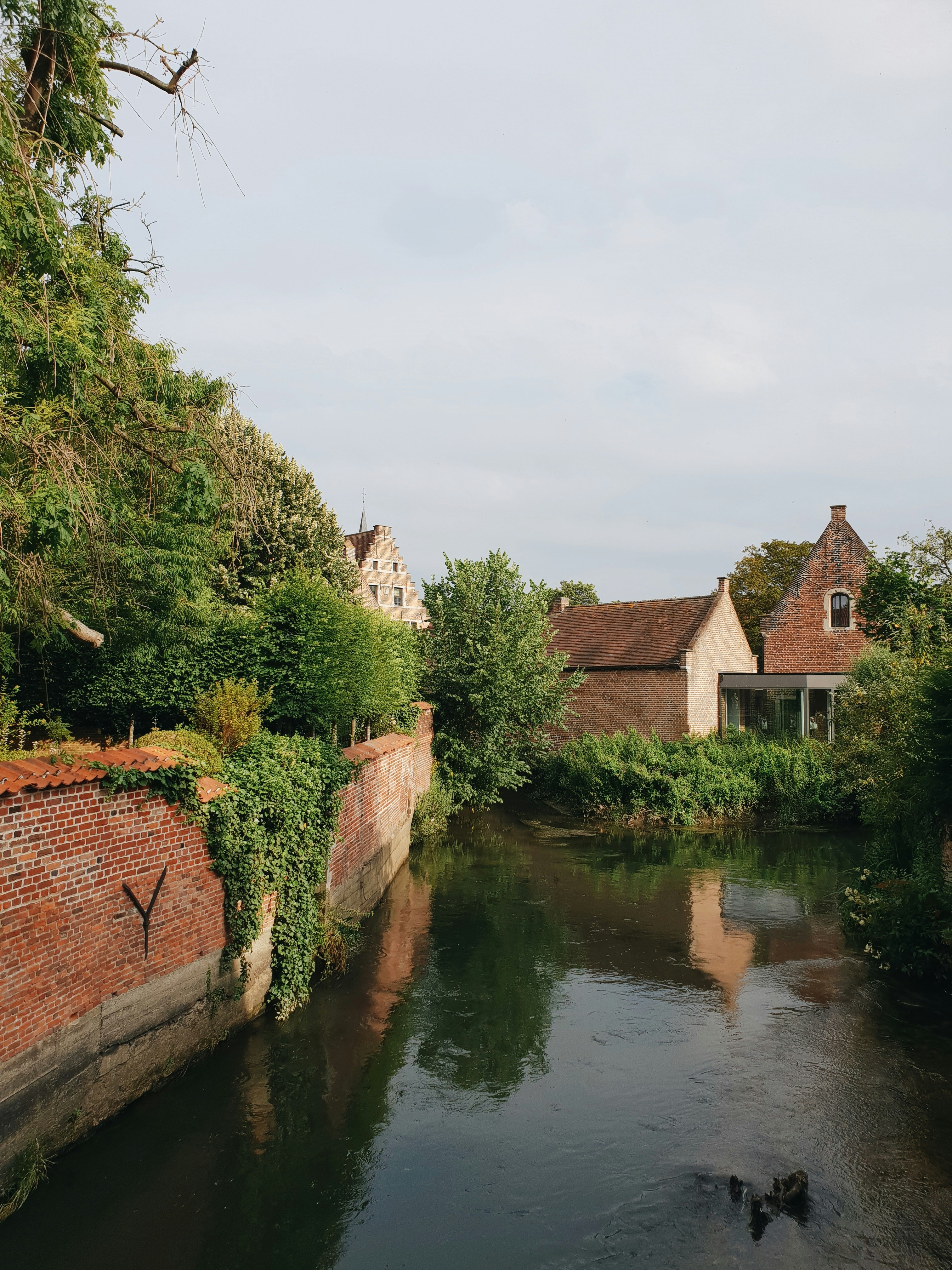 Photo by vasilymalygin