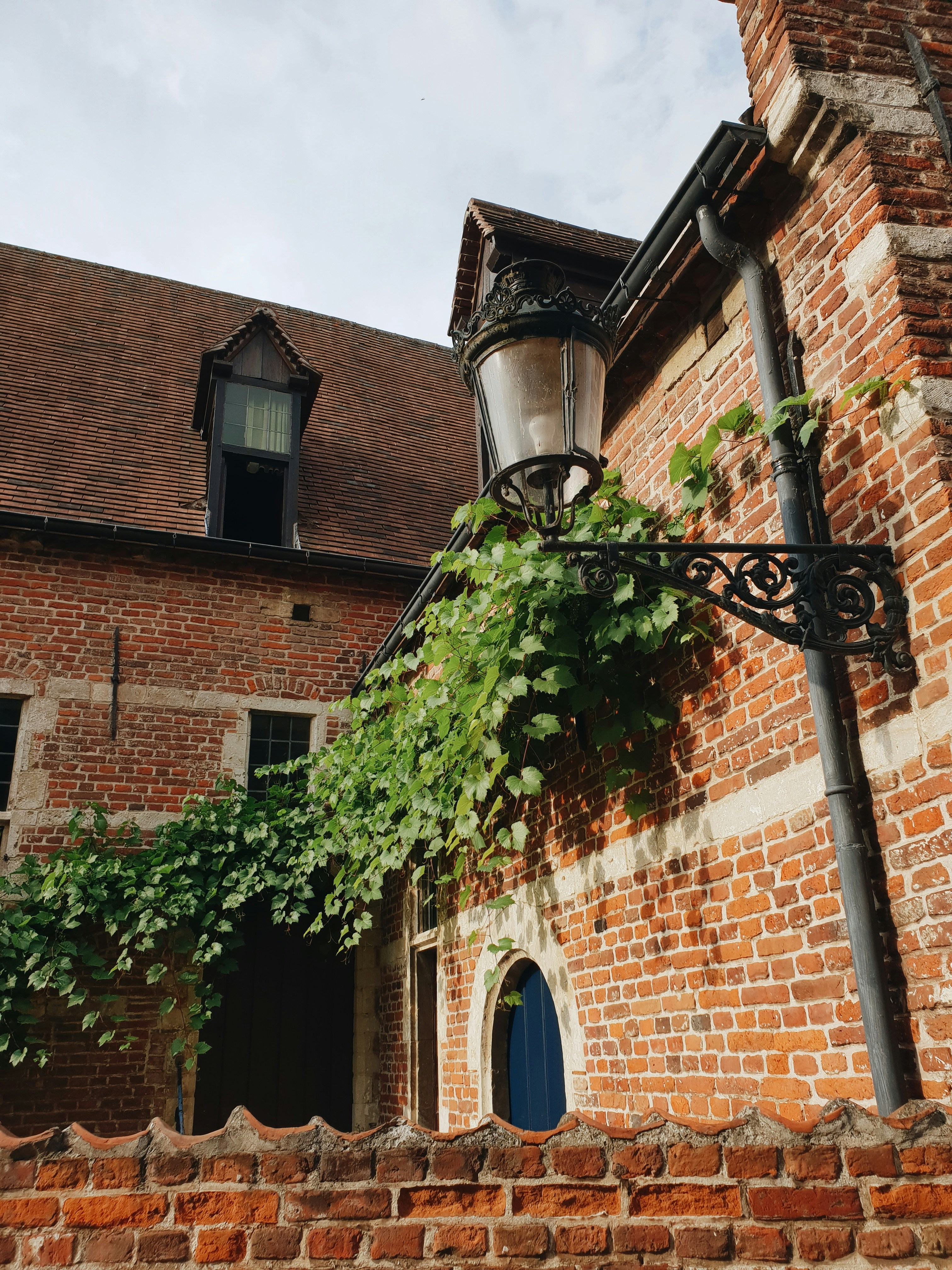 Photo by vasilymalygin