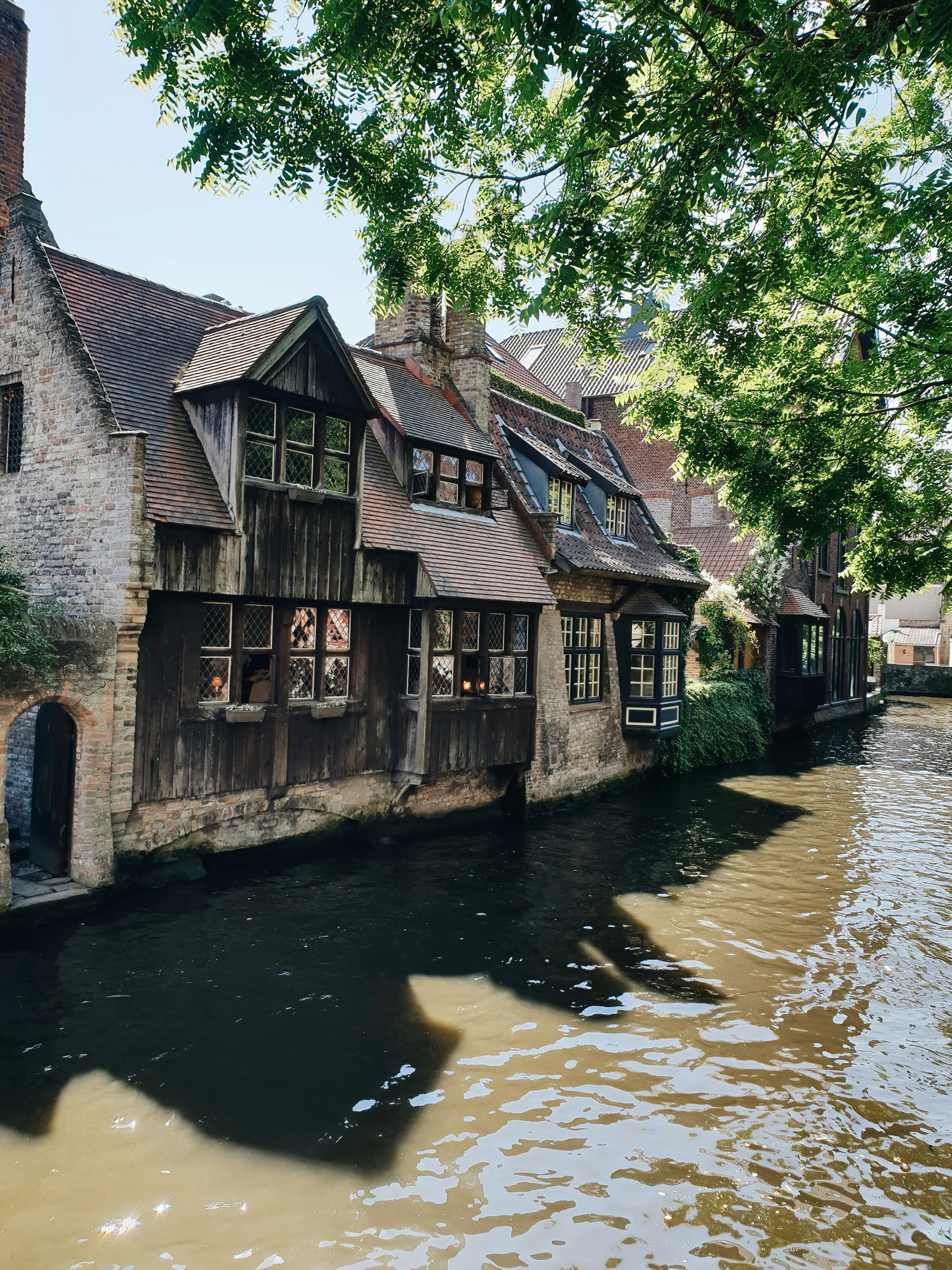 Photo by vasilymalygin