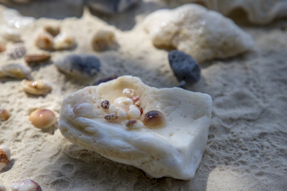 a piece of food sitting on top of a sandy beach