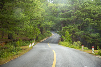 Freshly paved residential driveway surrounded by pine trees in Central Maine.