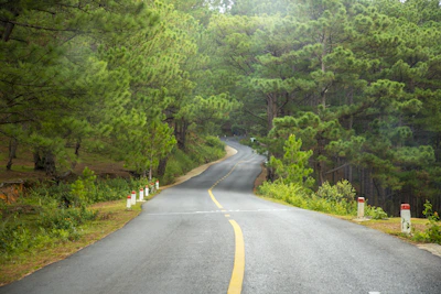 Freshly paved residential driveway surrounded by pine trees in Central Maine.