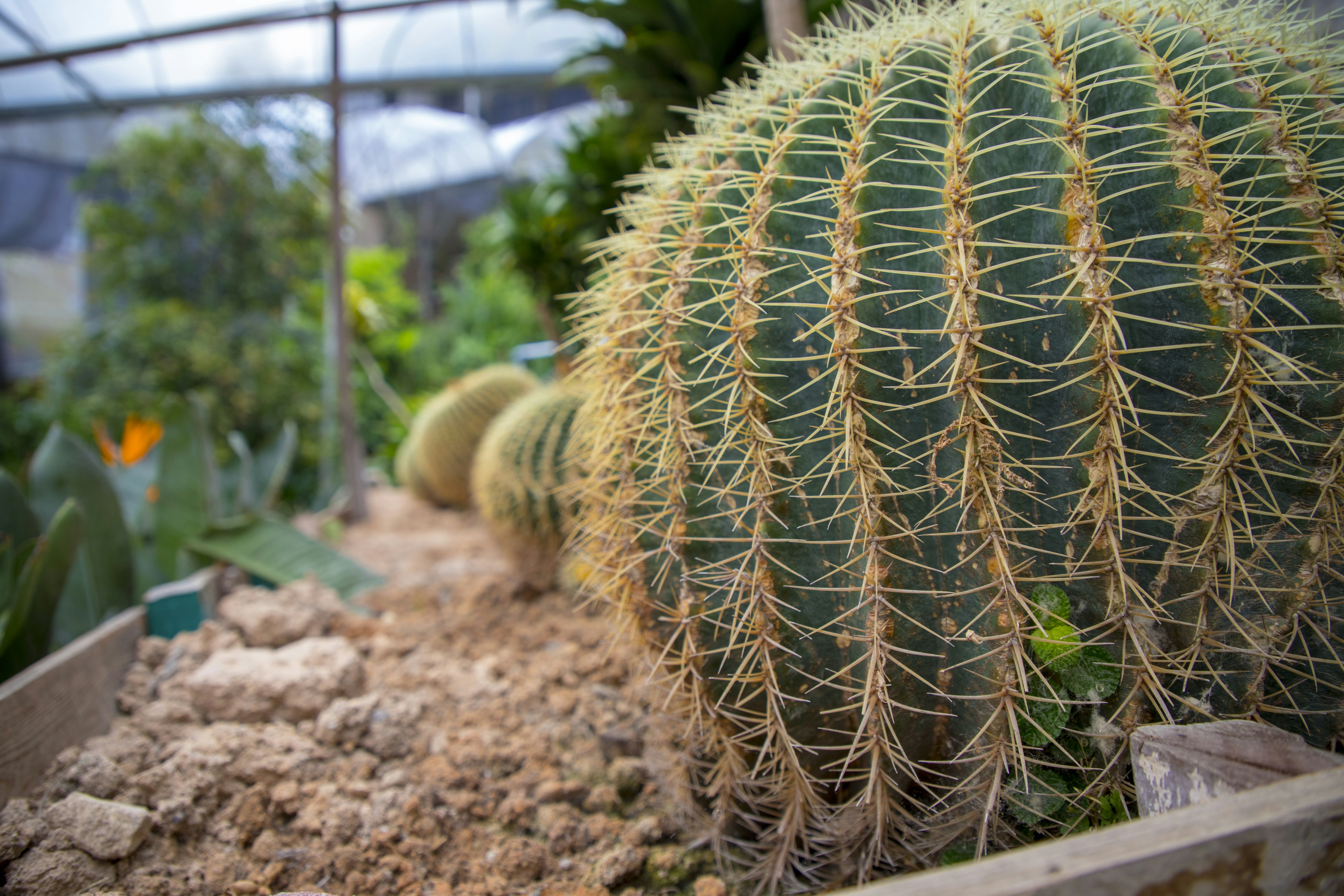 Photo by bahr_splash