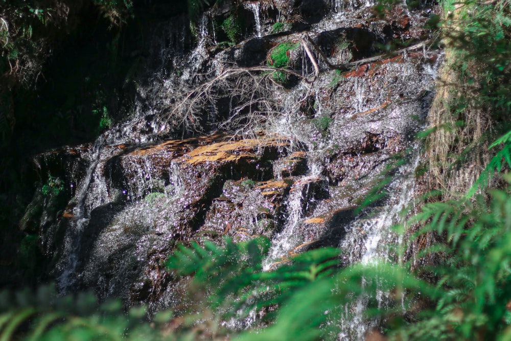 a close up of a waterfall in a forest