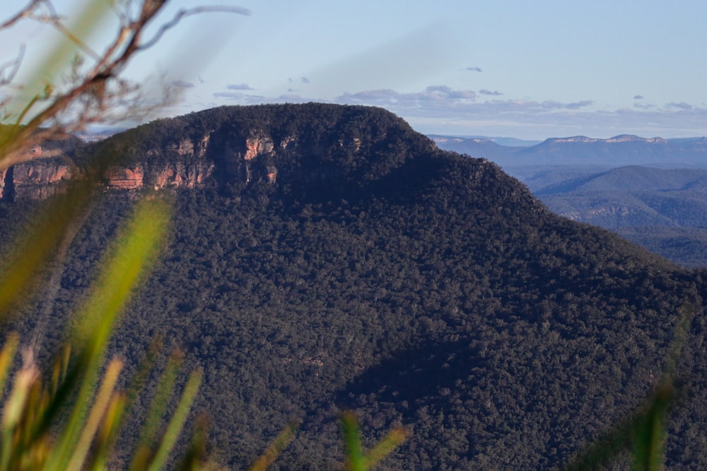 a view of a mountain range with trees in the foreground