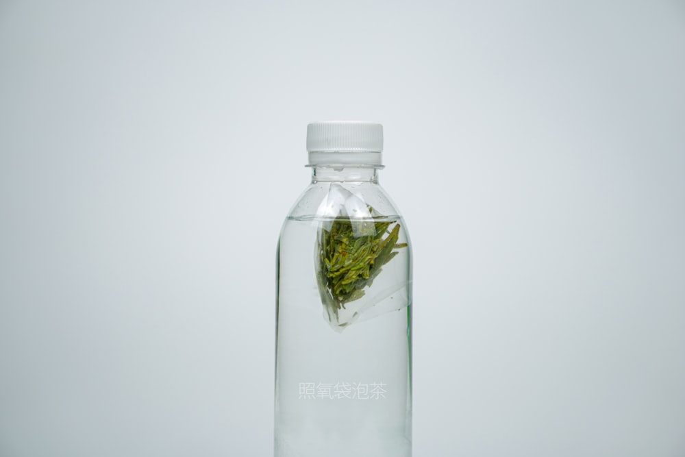 eine mit Wasser gefüllte Glasflasche und eine Pflanze darin