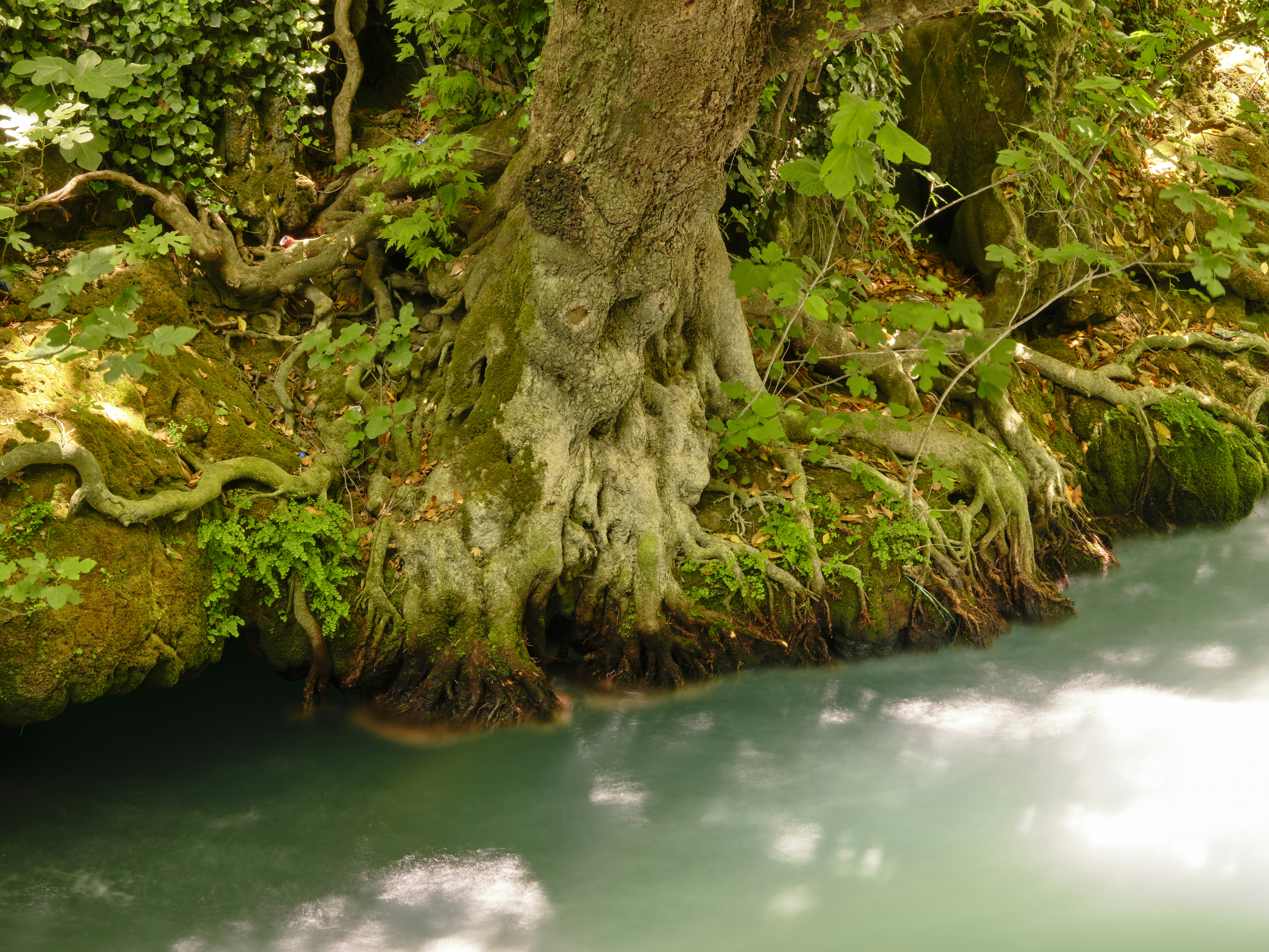 Photo by enginakyurt