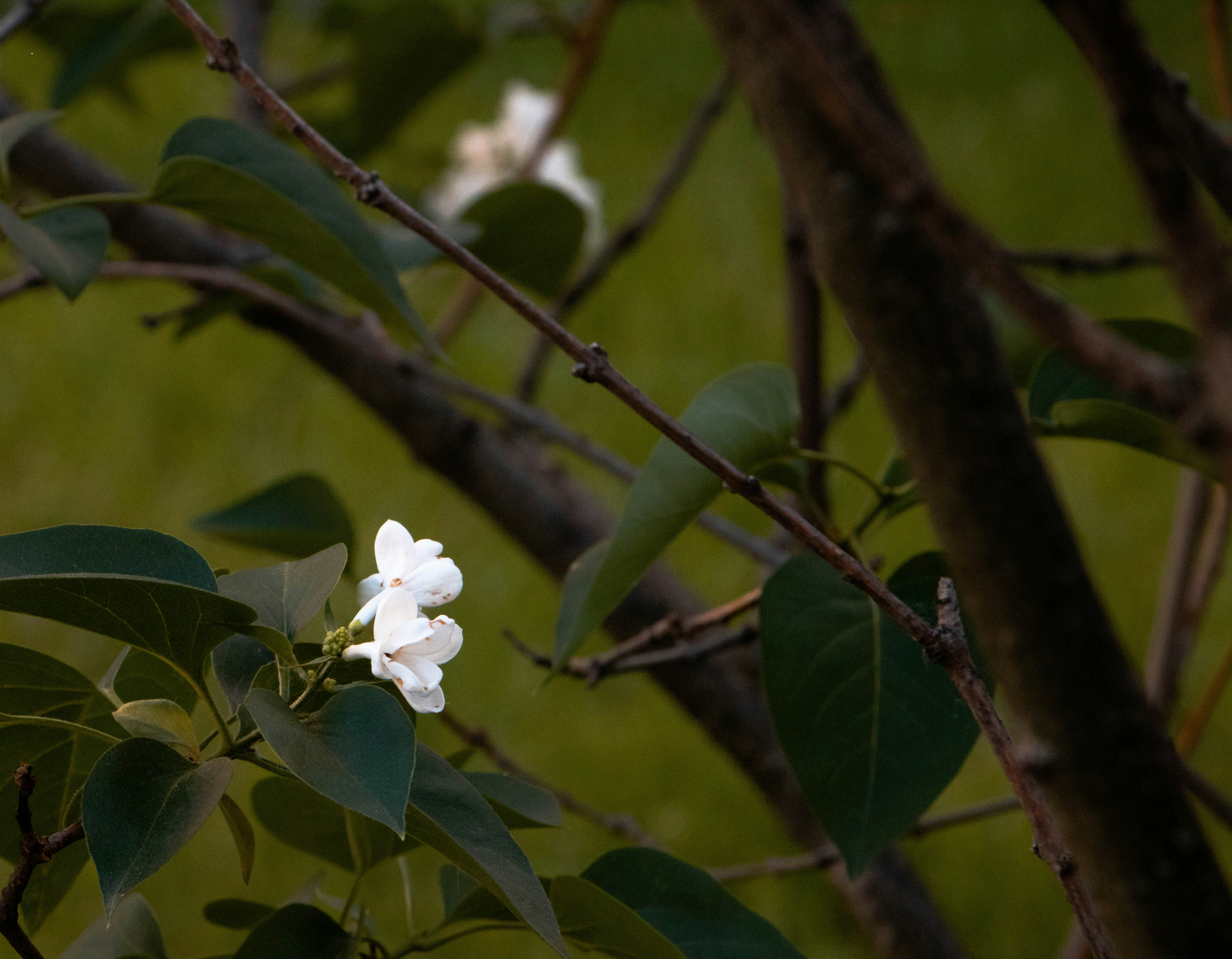 Photo by filipp_karpenko