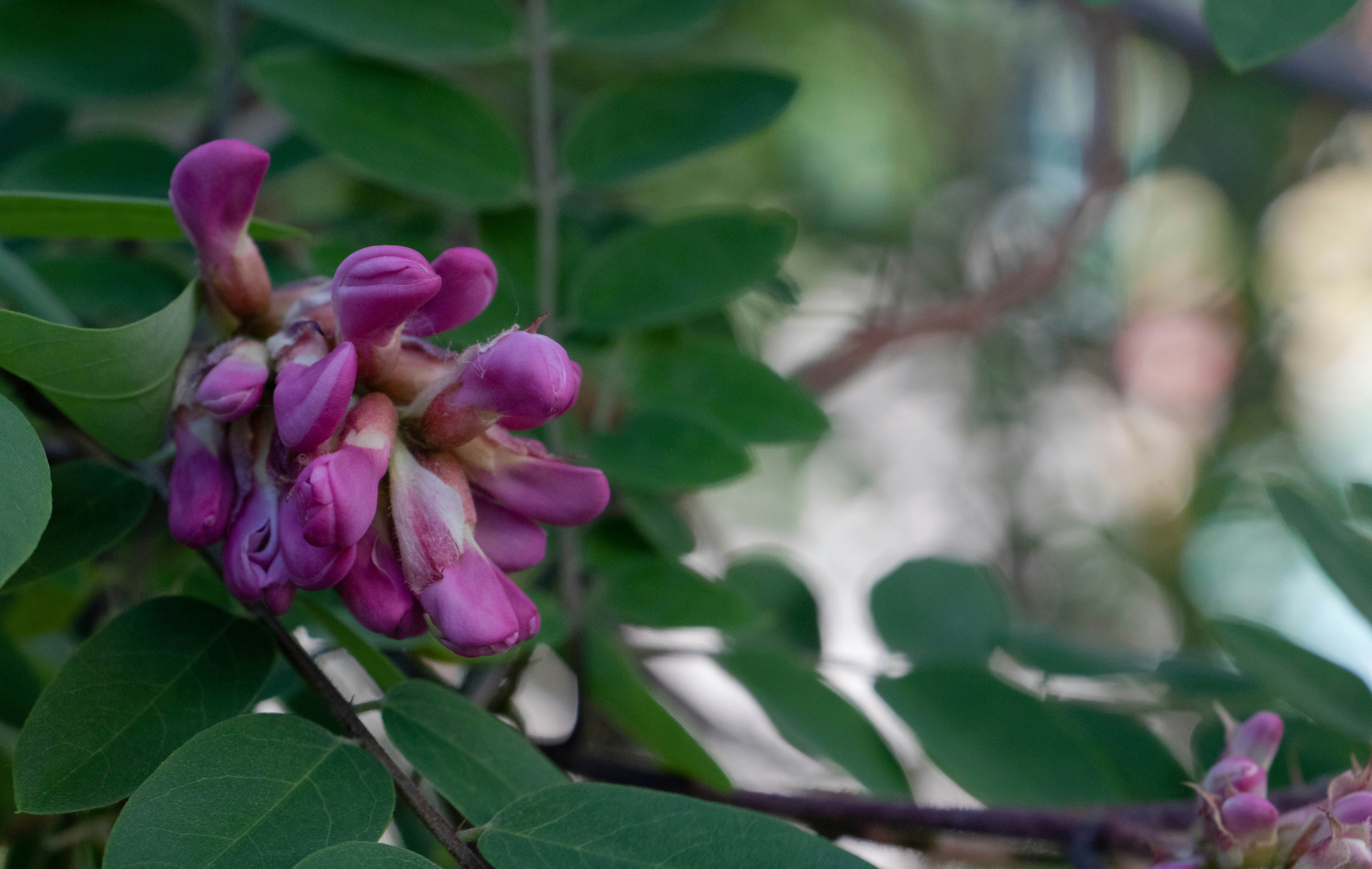 Photo by filipp_karpenko