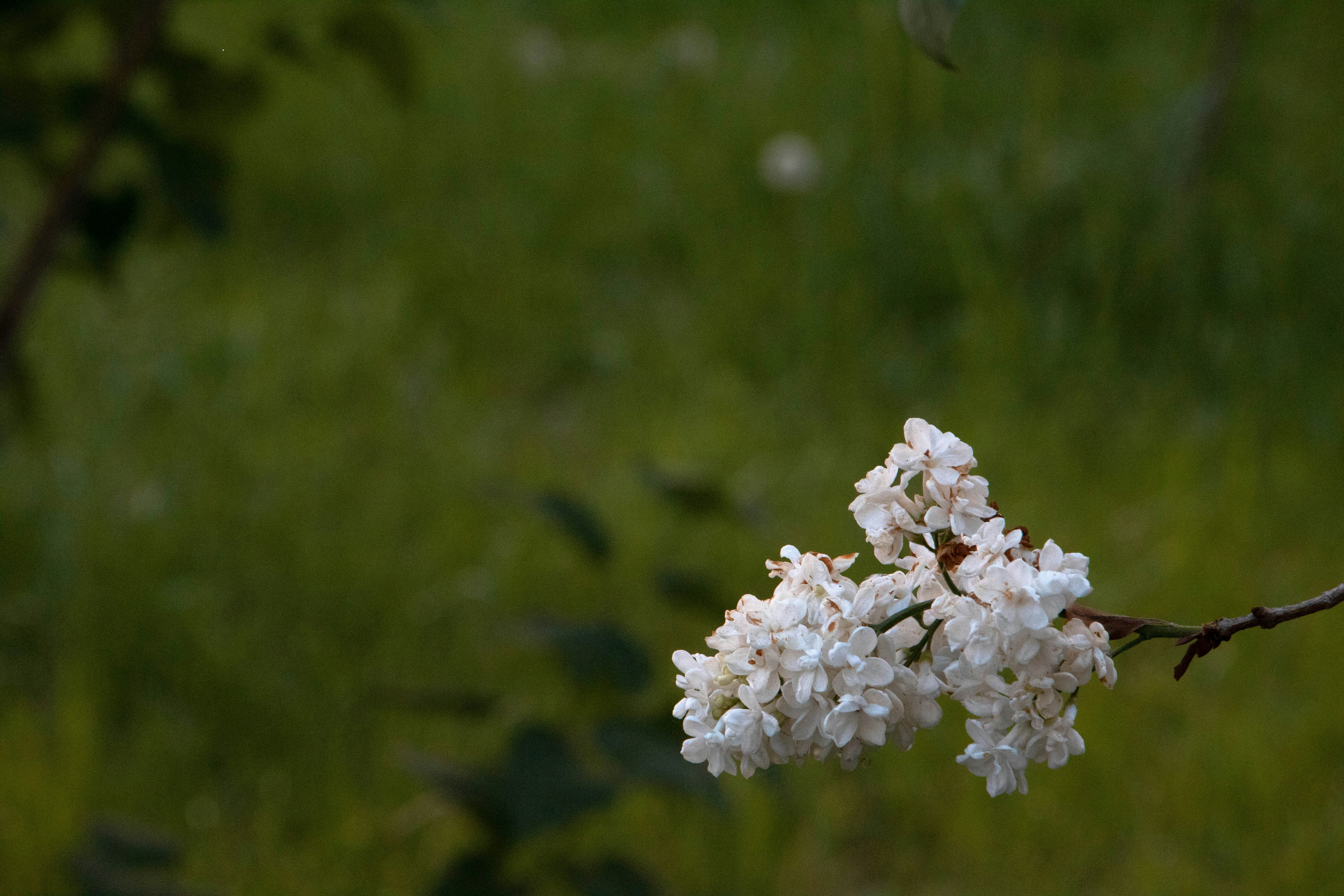 Photo by filipp_karpenko