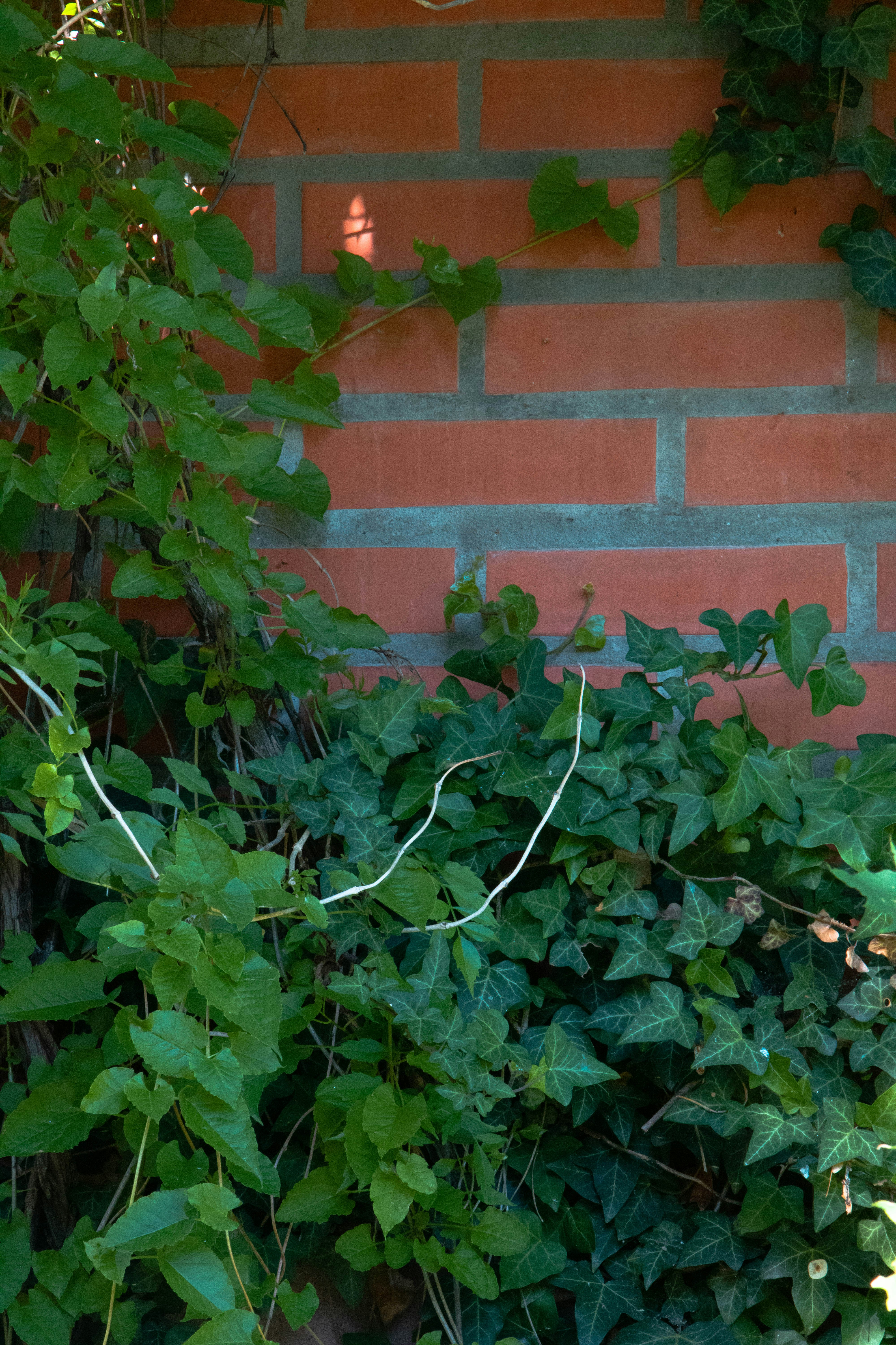 a fire hydrant in front of a brick wall