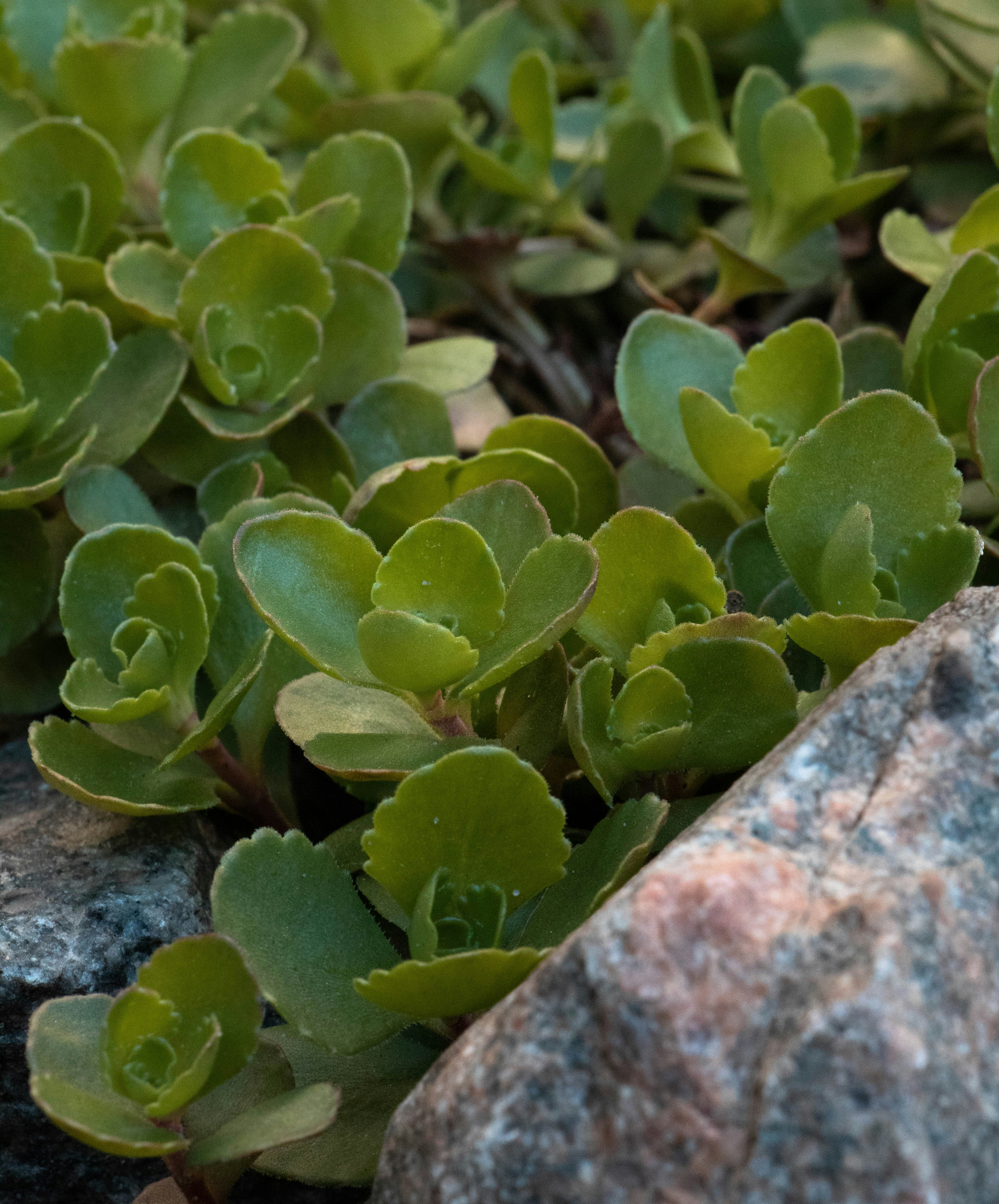 Photo by filipp_karpenko