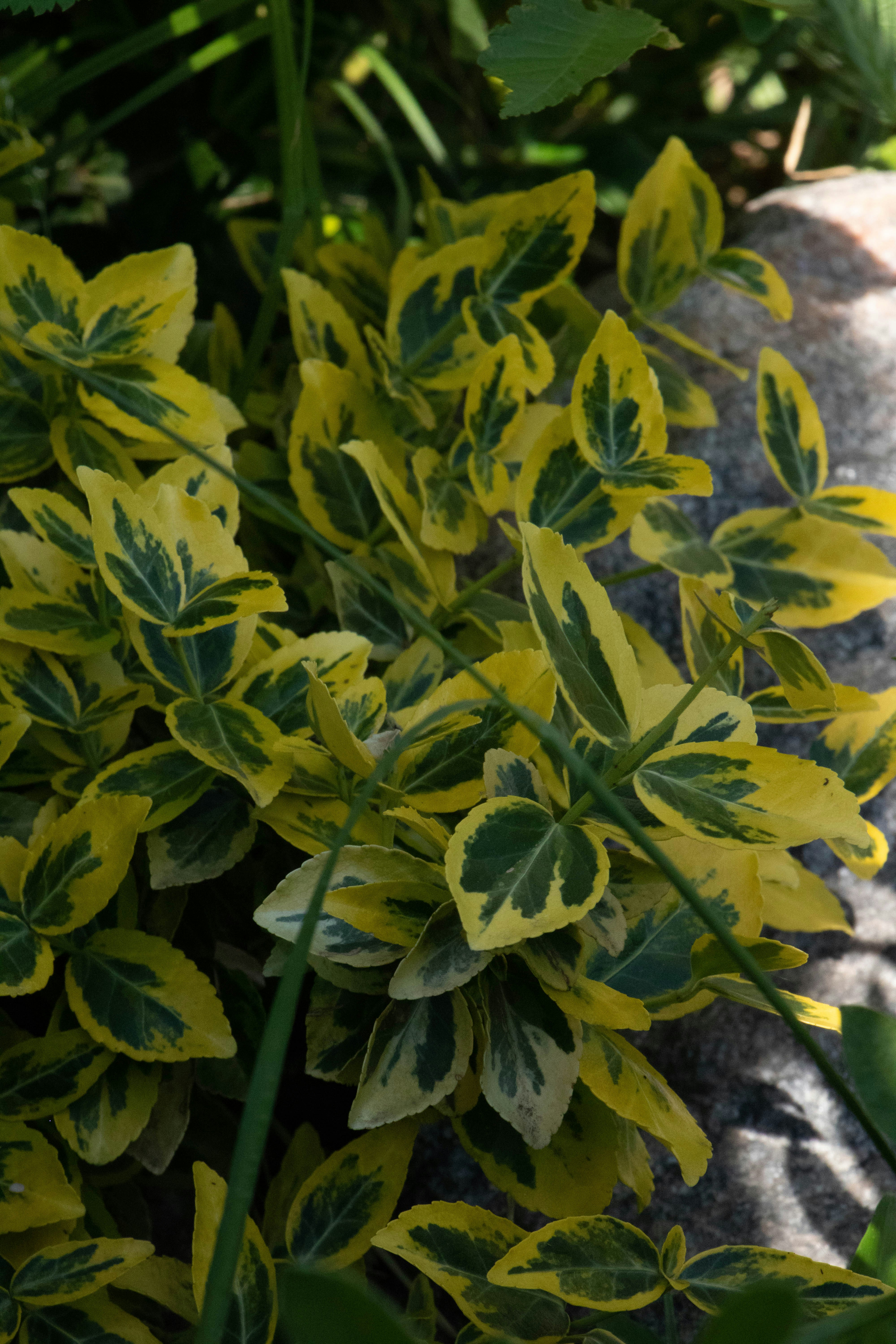 Photo by filipp_karpenko