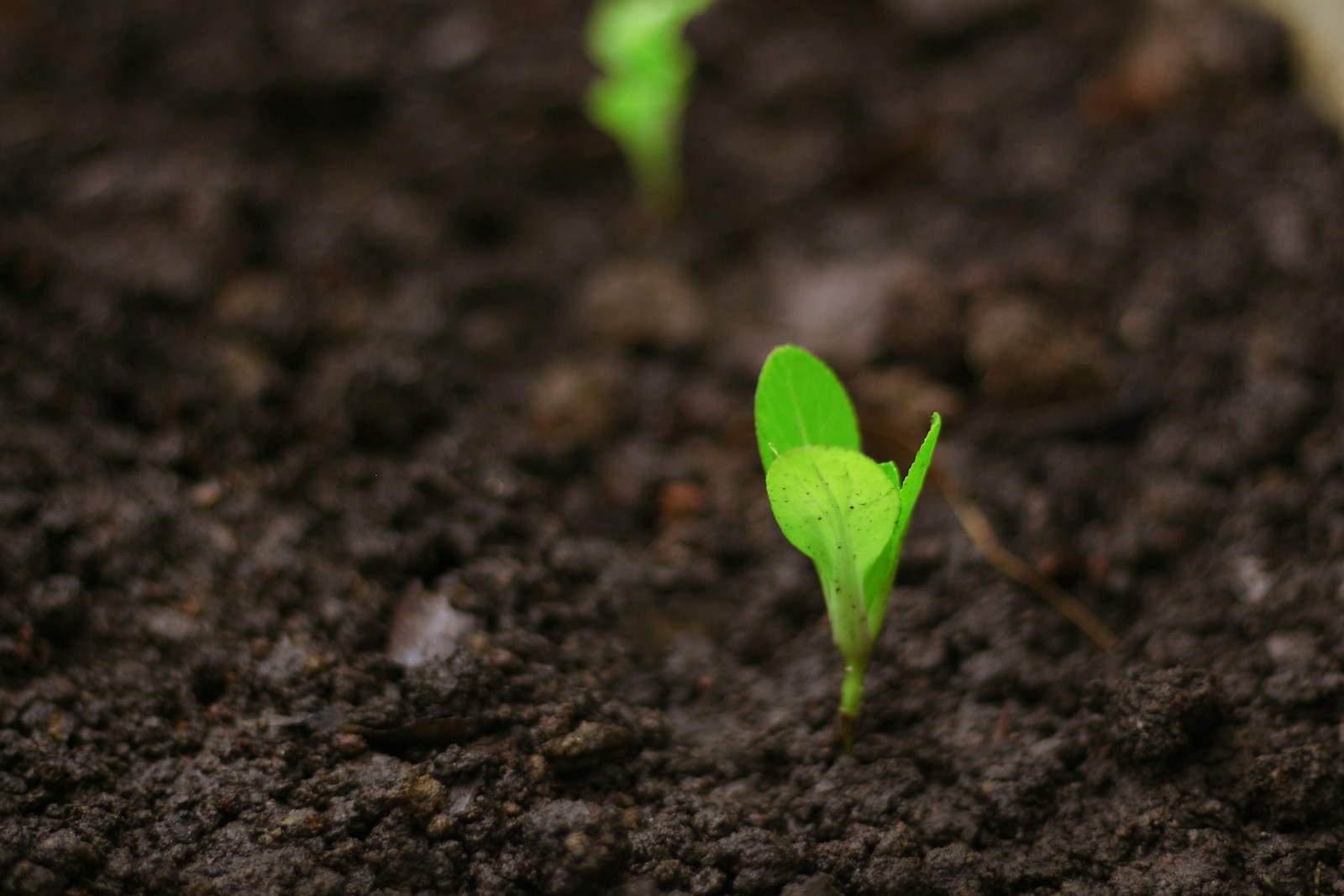 Real Estate Mentorship in Calgary & Edmonton: How to Choose a Brokerage That Helps You Grow