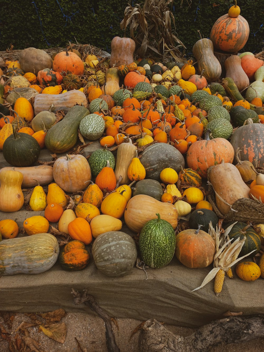 a pile of pumpkins and squash on a table