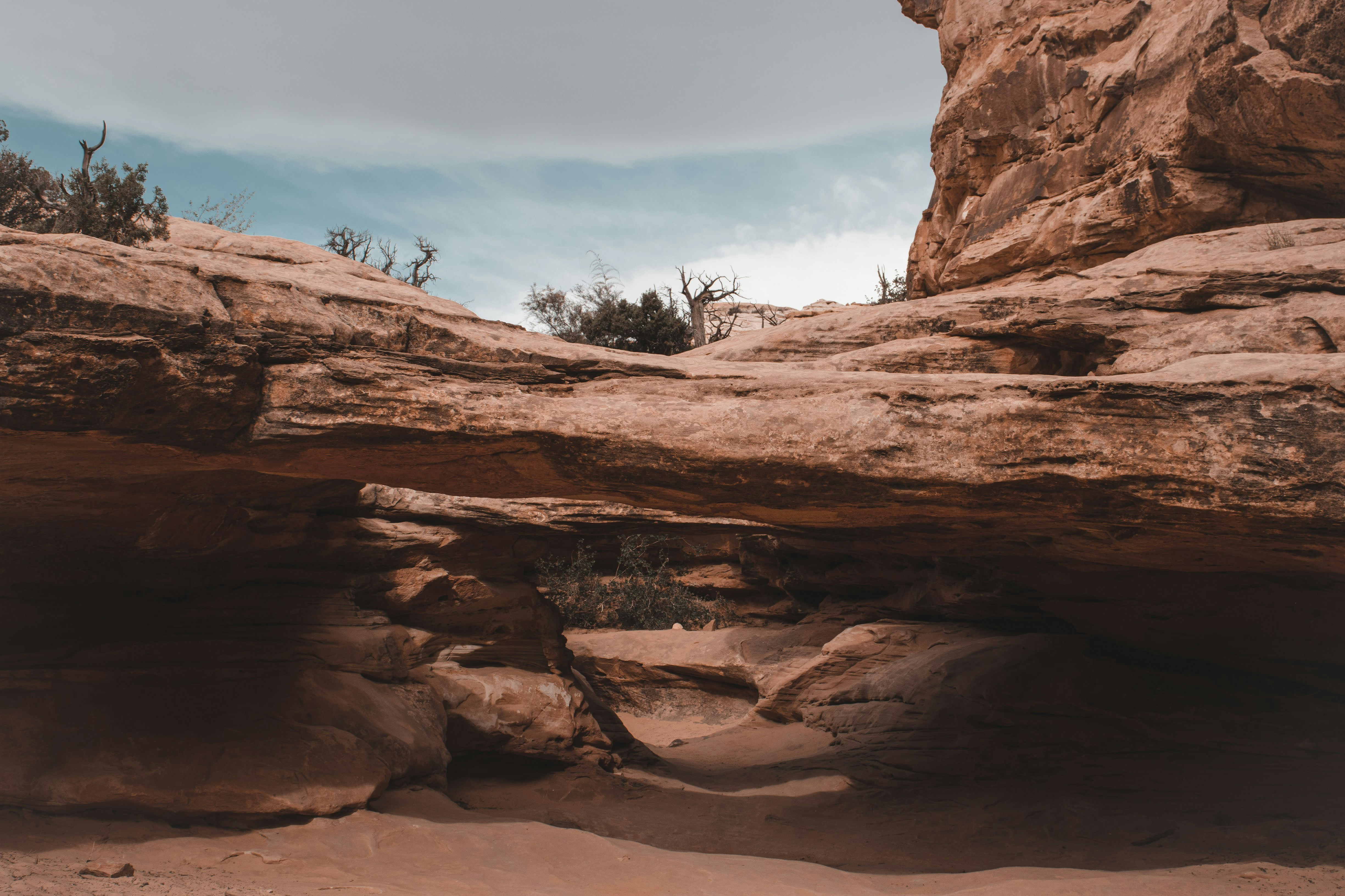 Photo by brice_cooper18