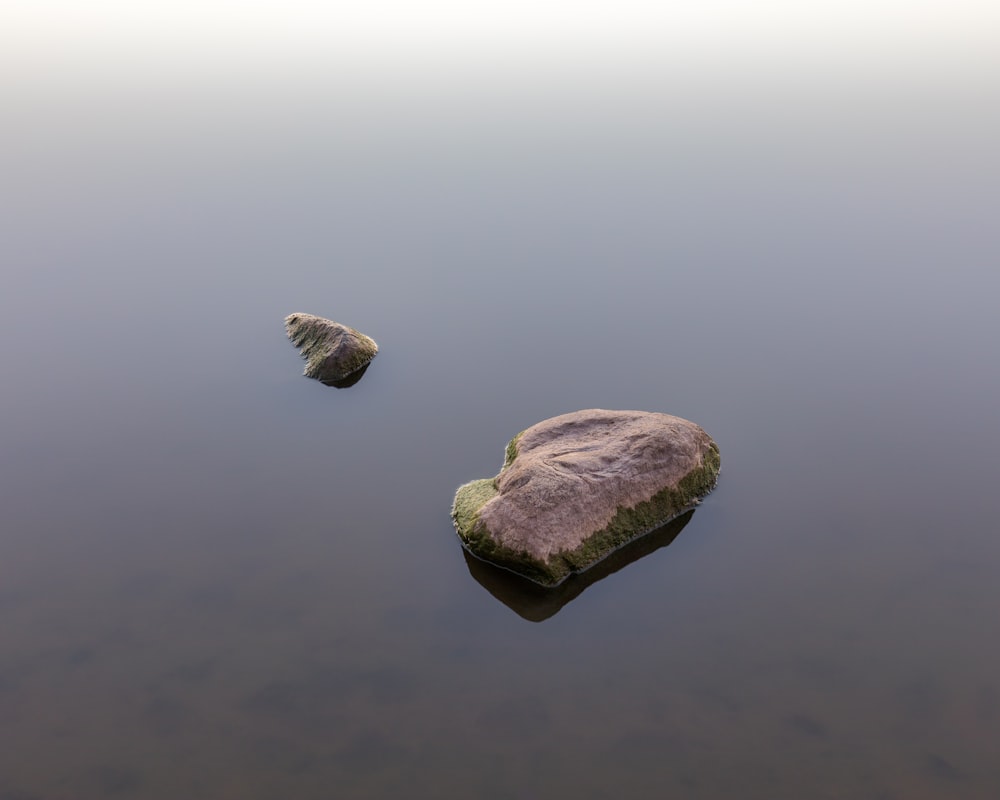 a couple of rocks that are in some water