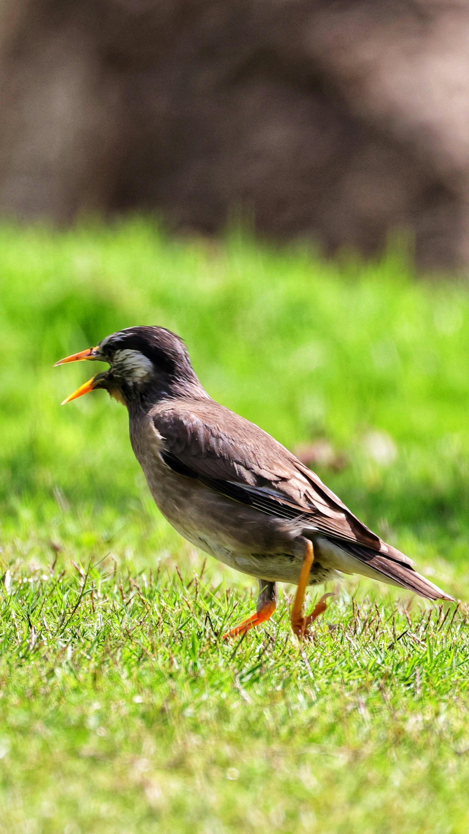 Photo by dickenslin76