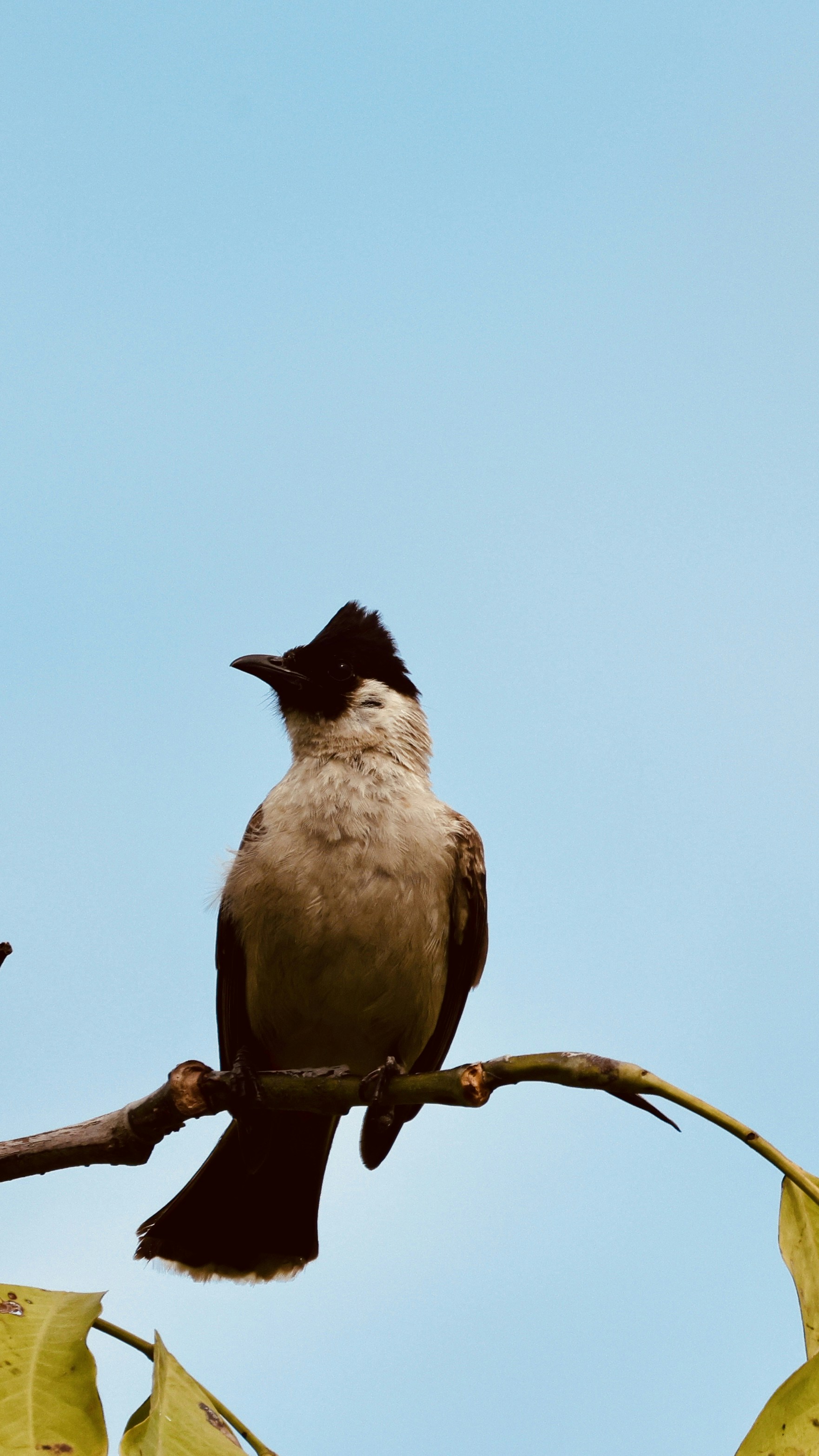 Photo by dickenslin76