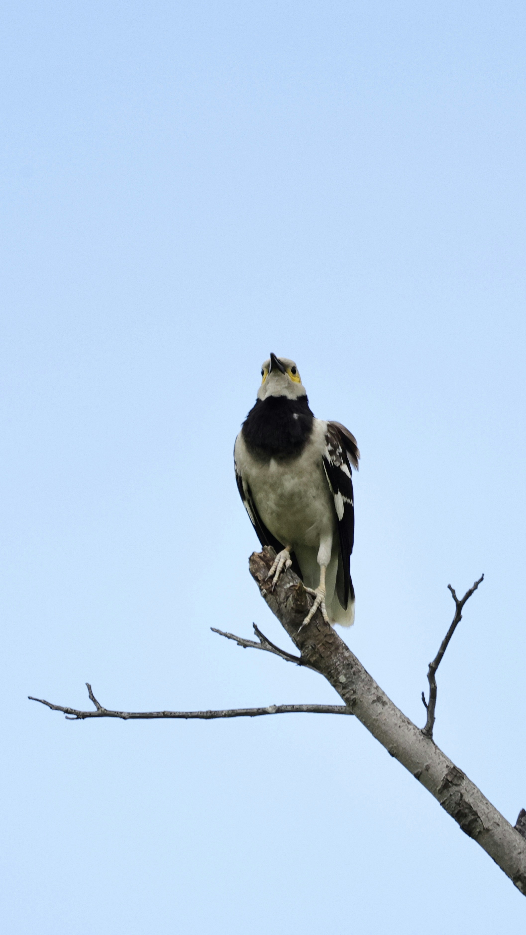 Photo by dickenslin76