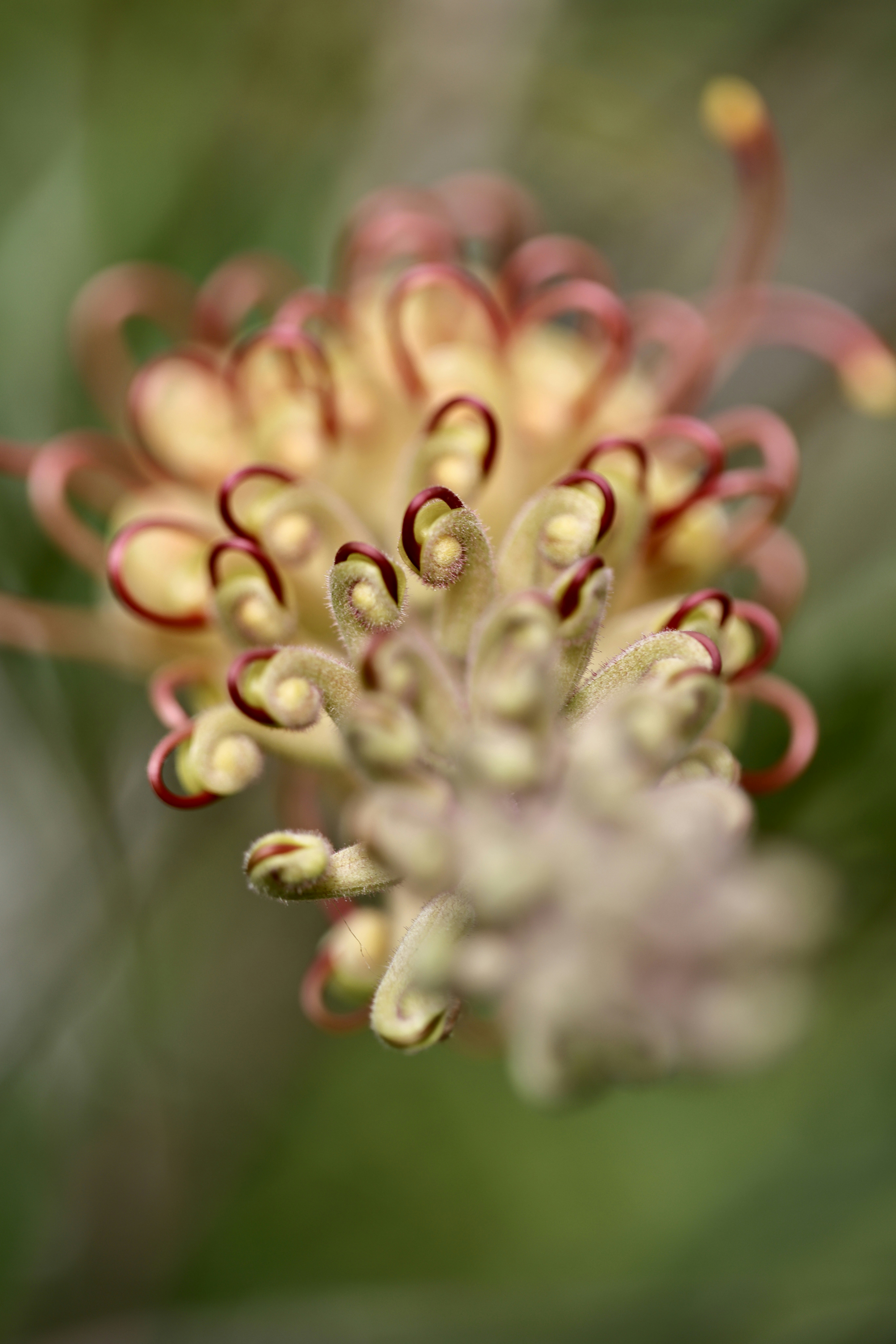 Photo by dickenslin76