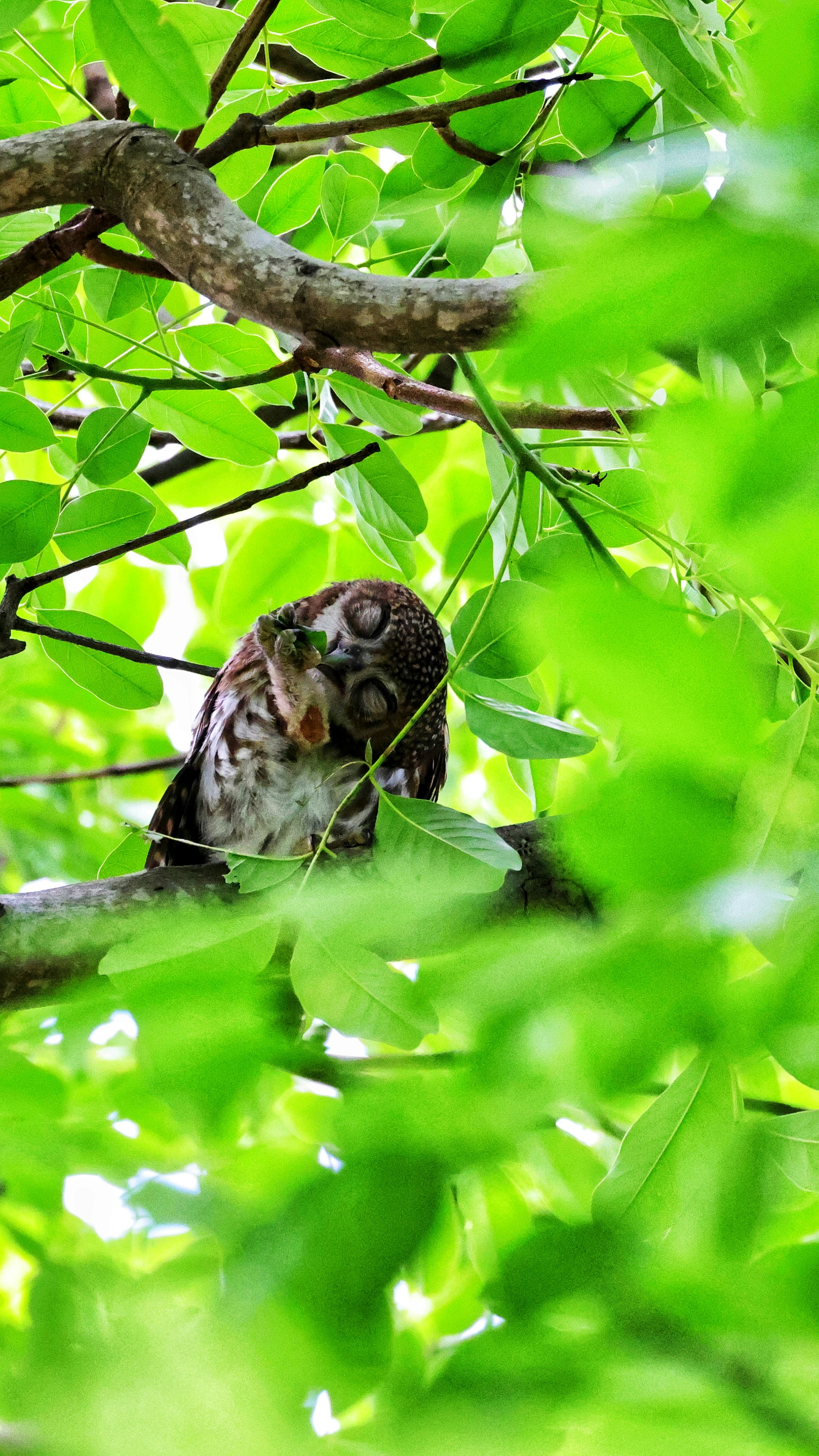 Photo by dickenslin76