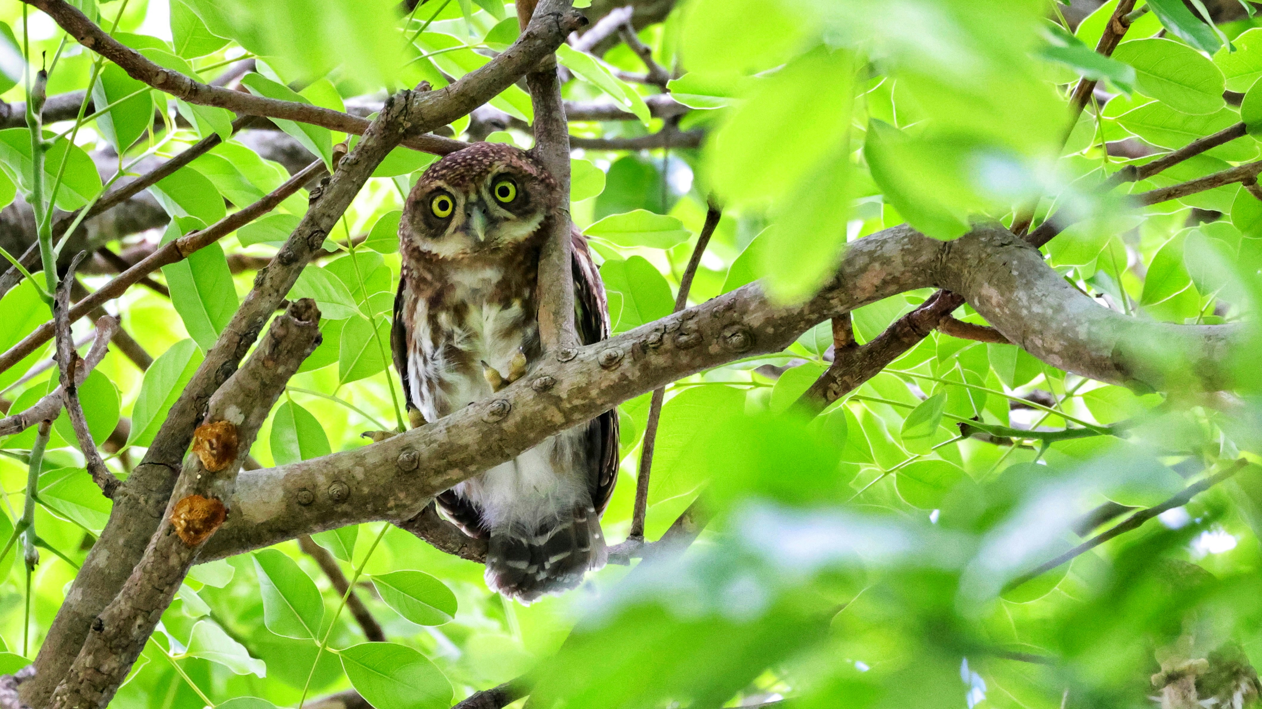 Photo by dickenslin76