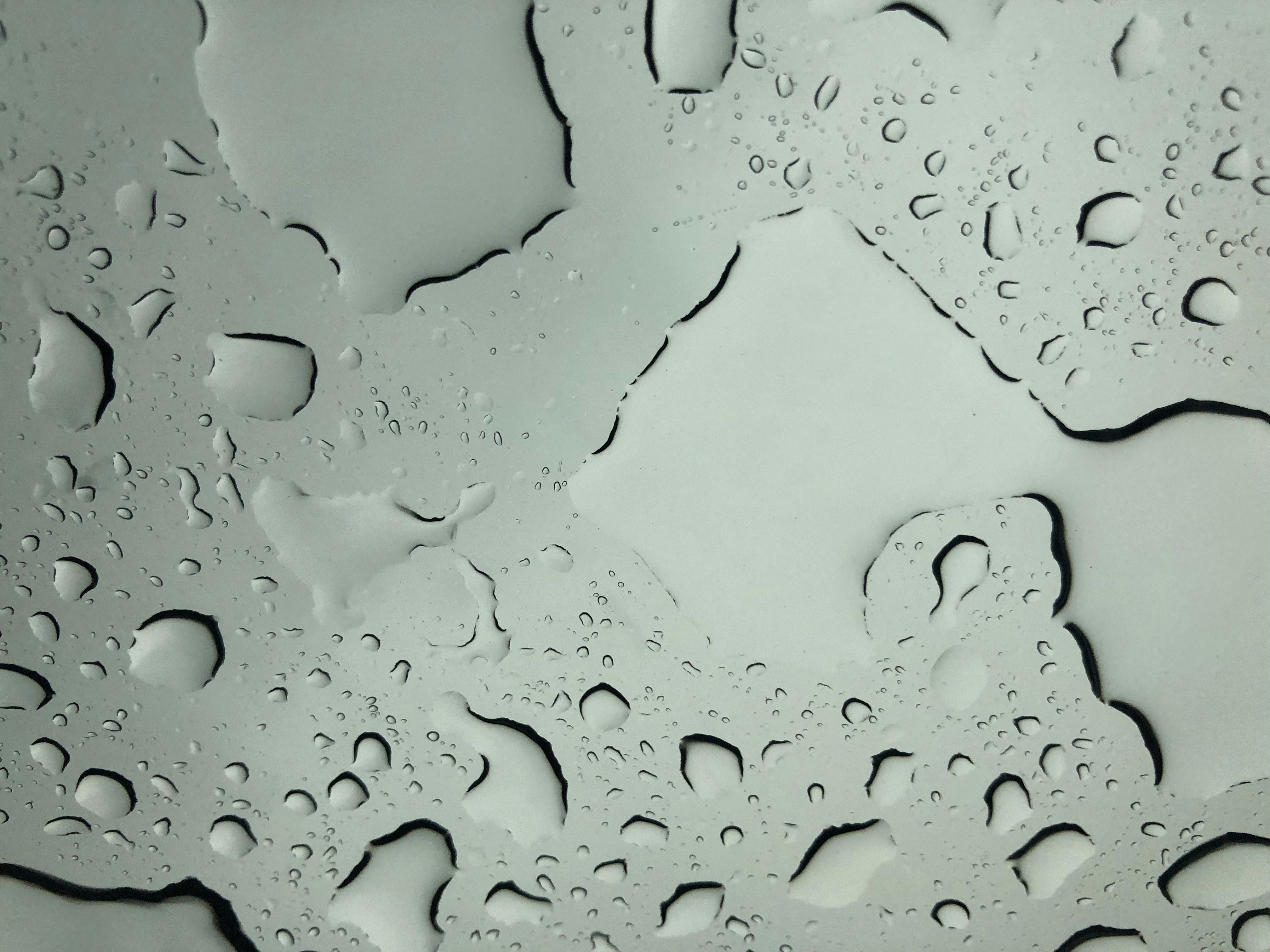 Photo by sophomoresdgf