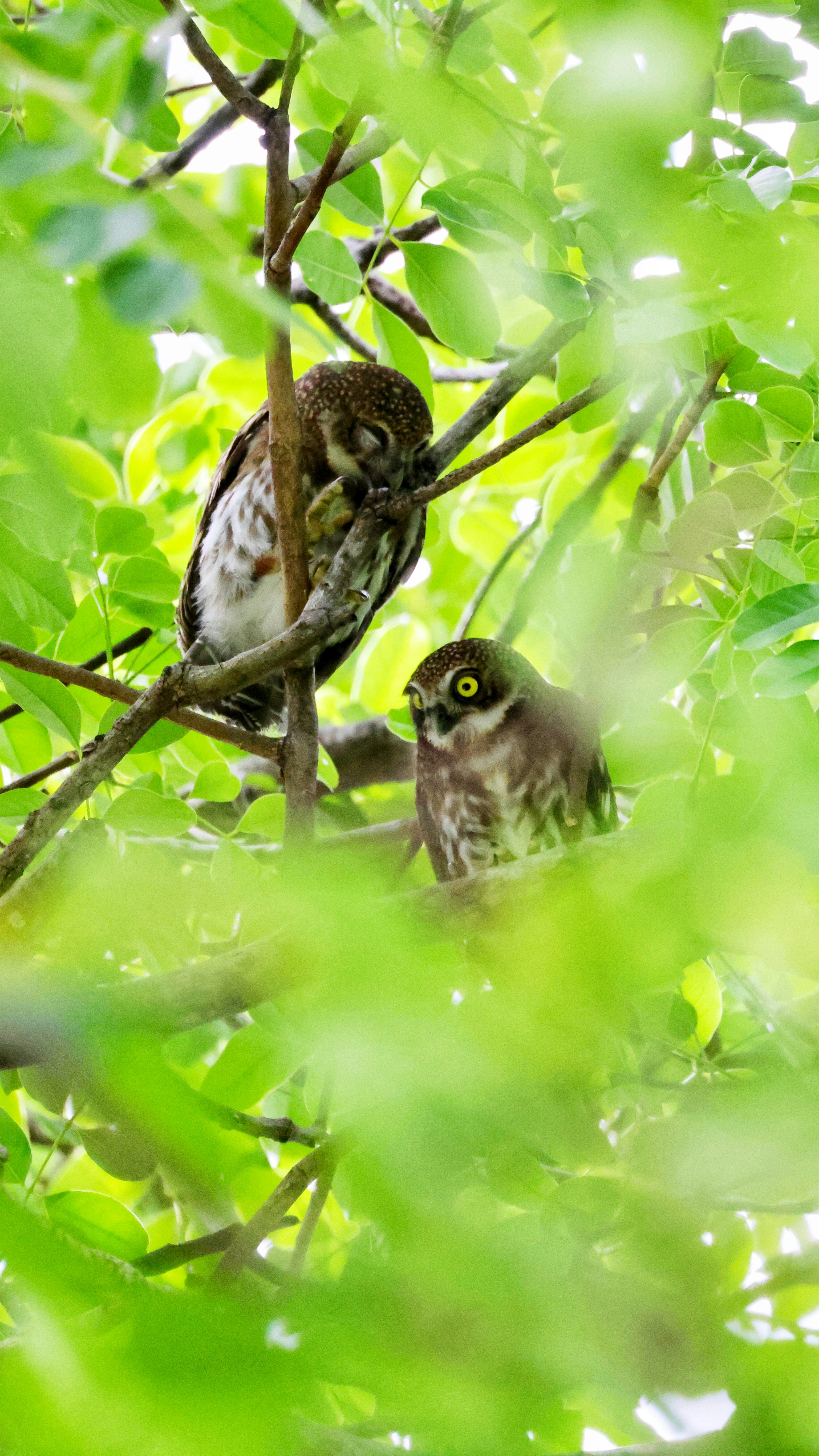 Photo by dickenslin76