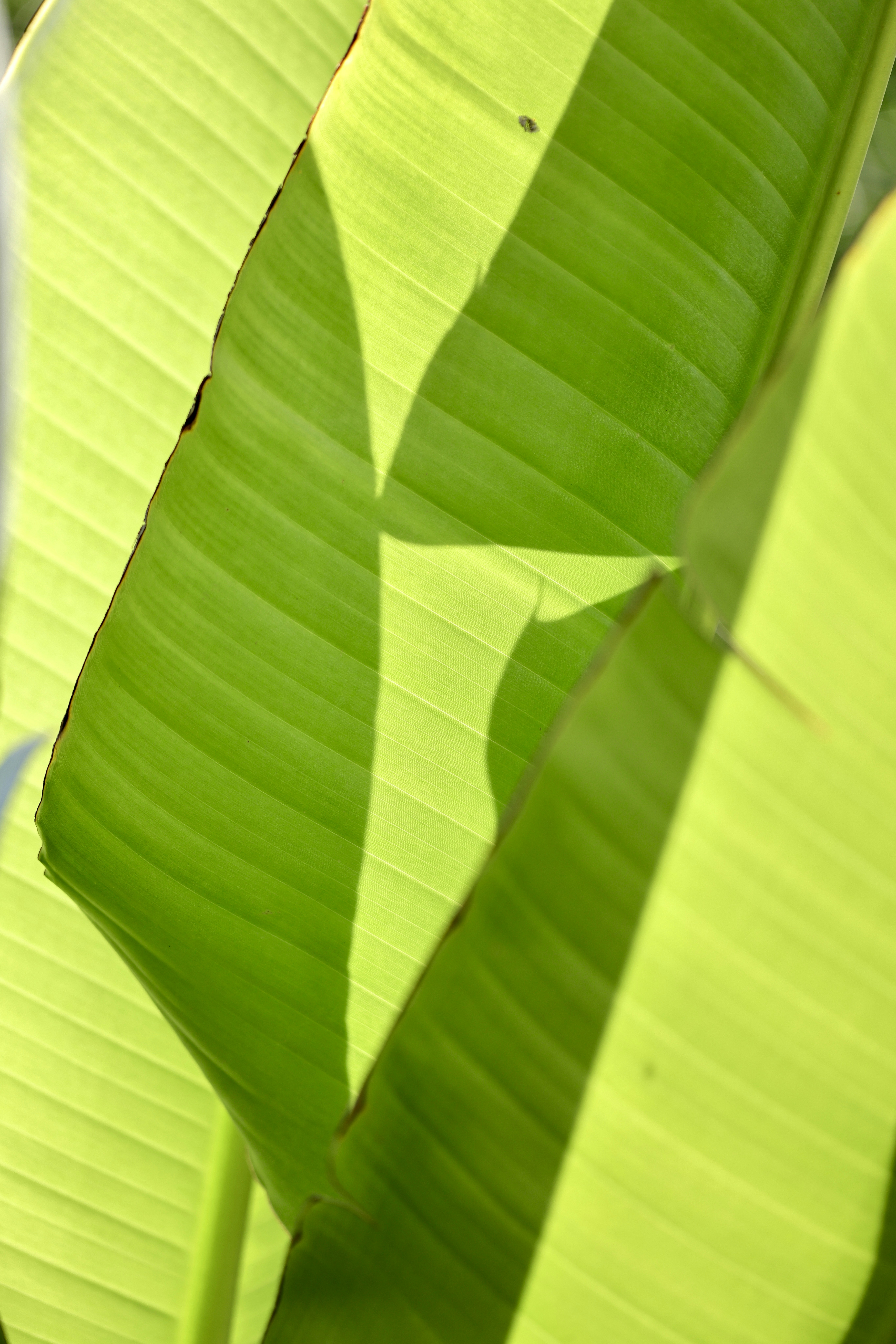 Photo by dickenslin76