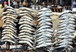 a pile of fish sitting on top of a pile of sand