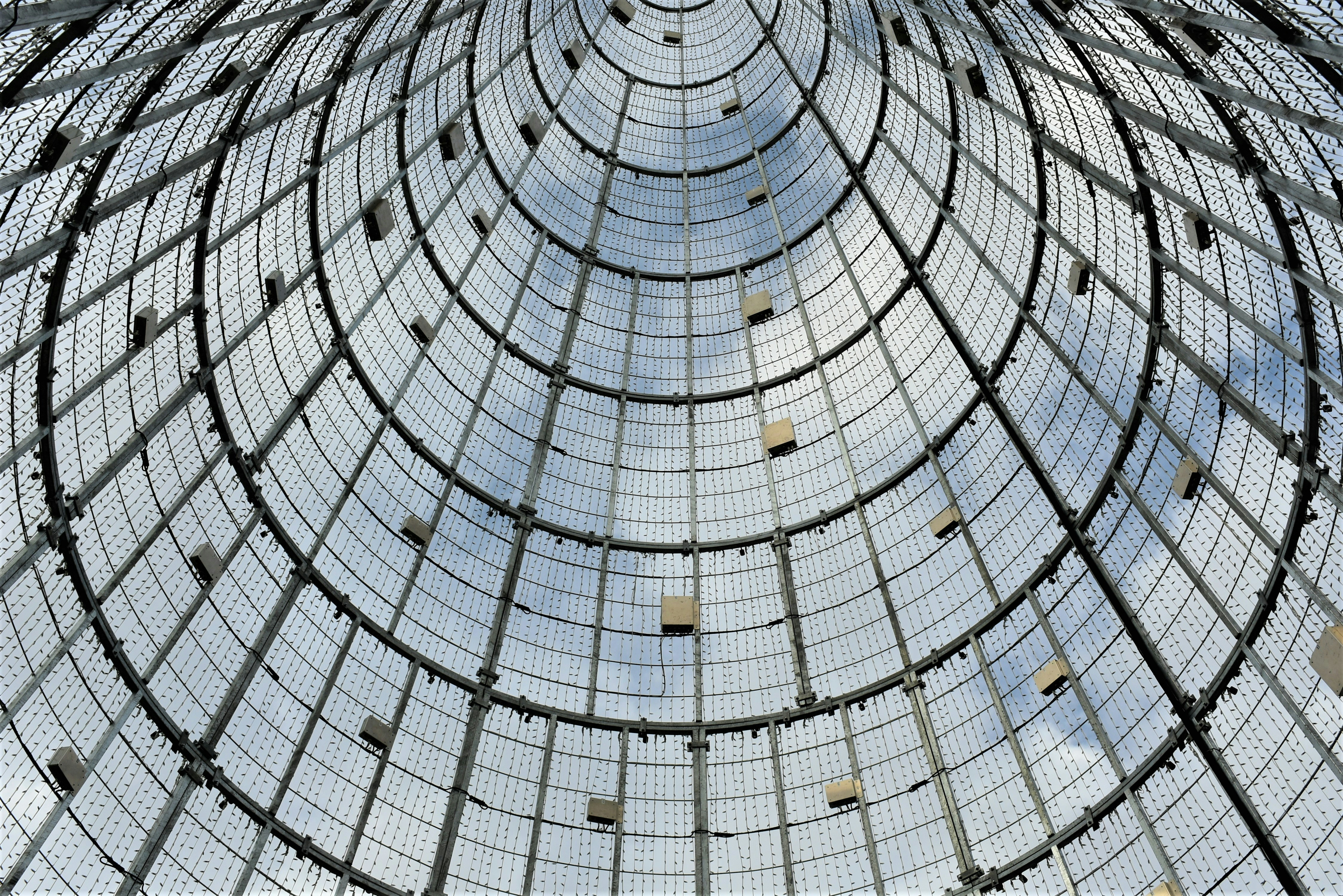 Photo by oxganggreen