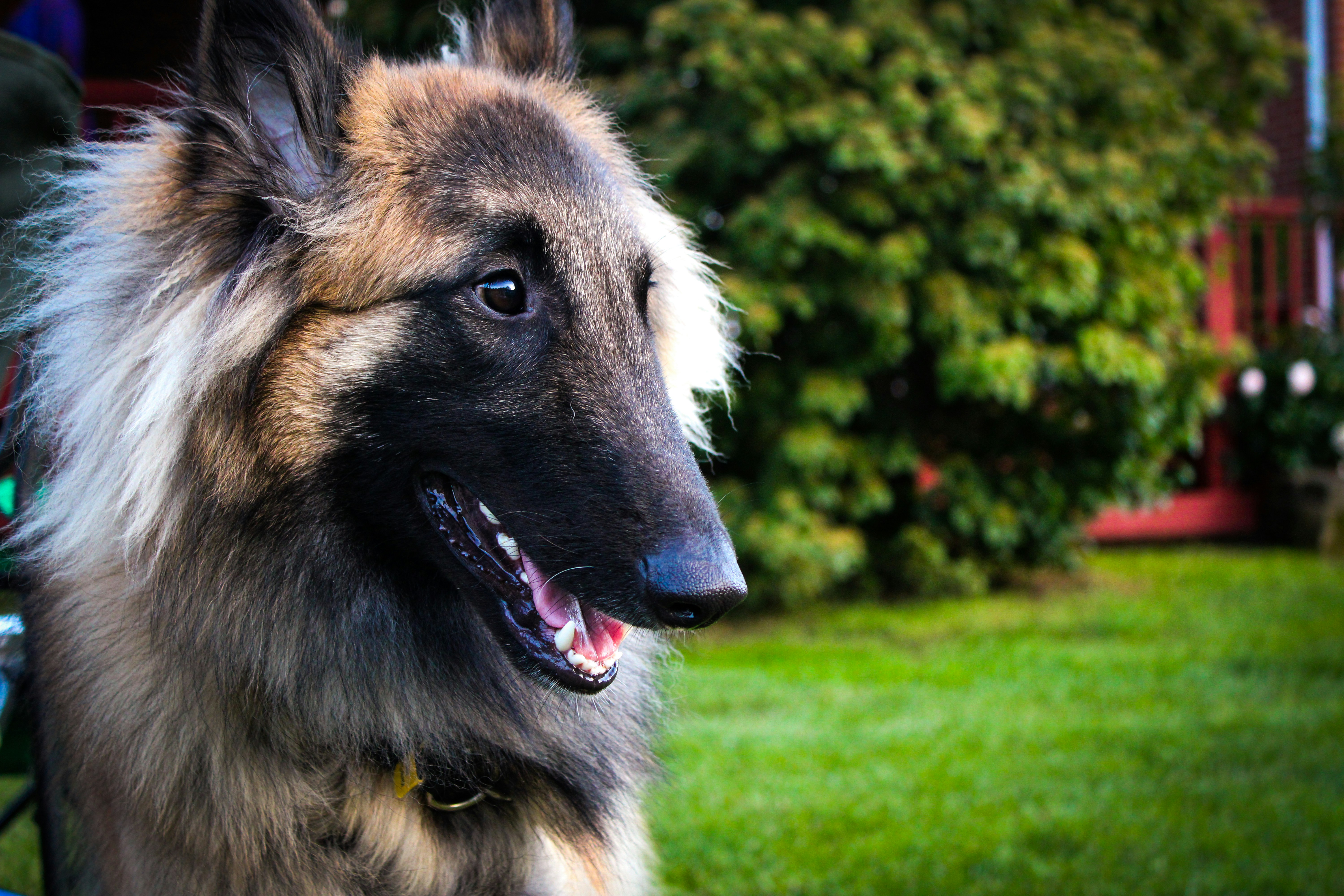 Photo by thesupremechips