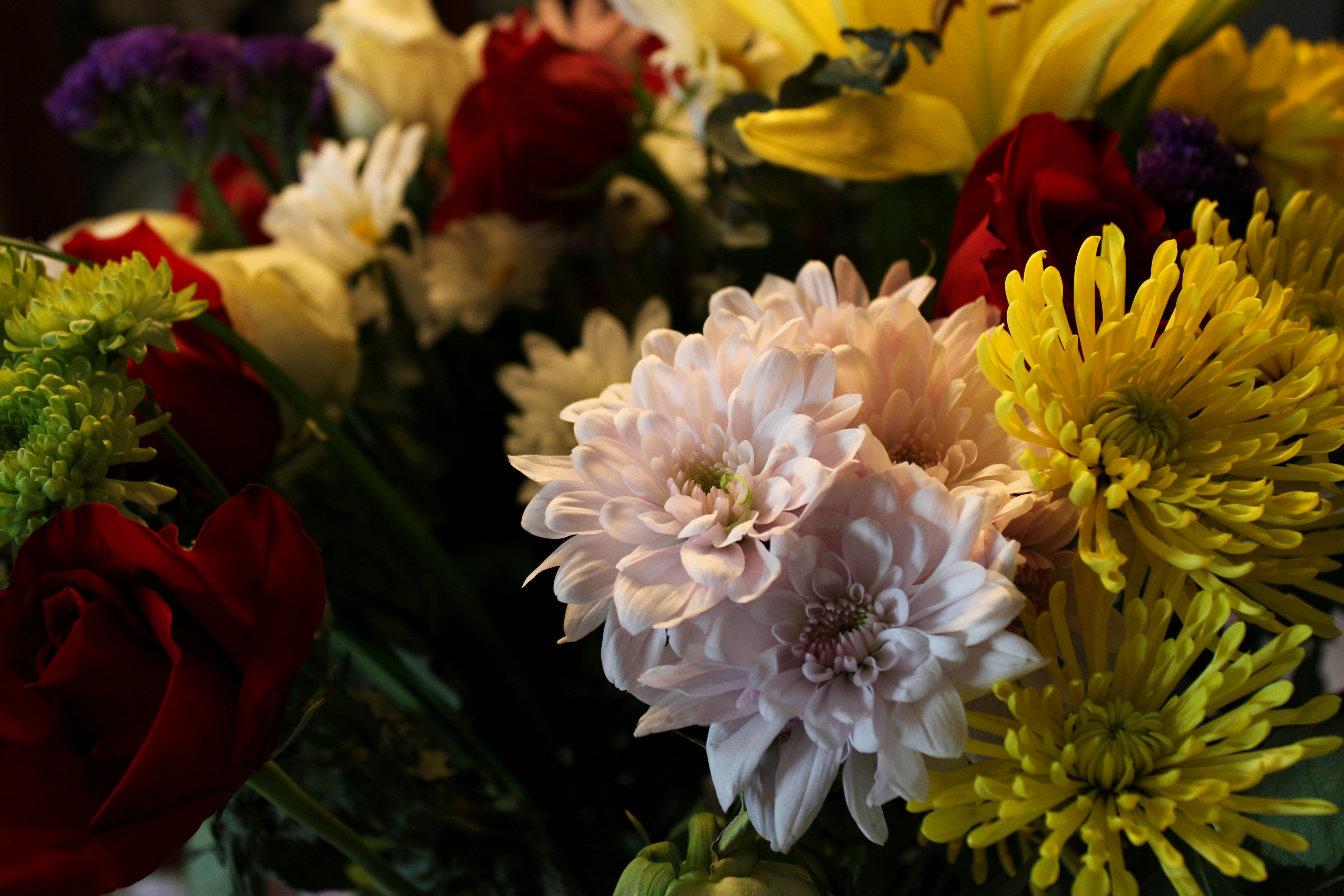 Photo by thesupremechips