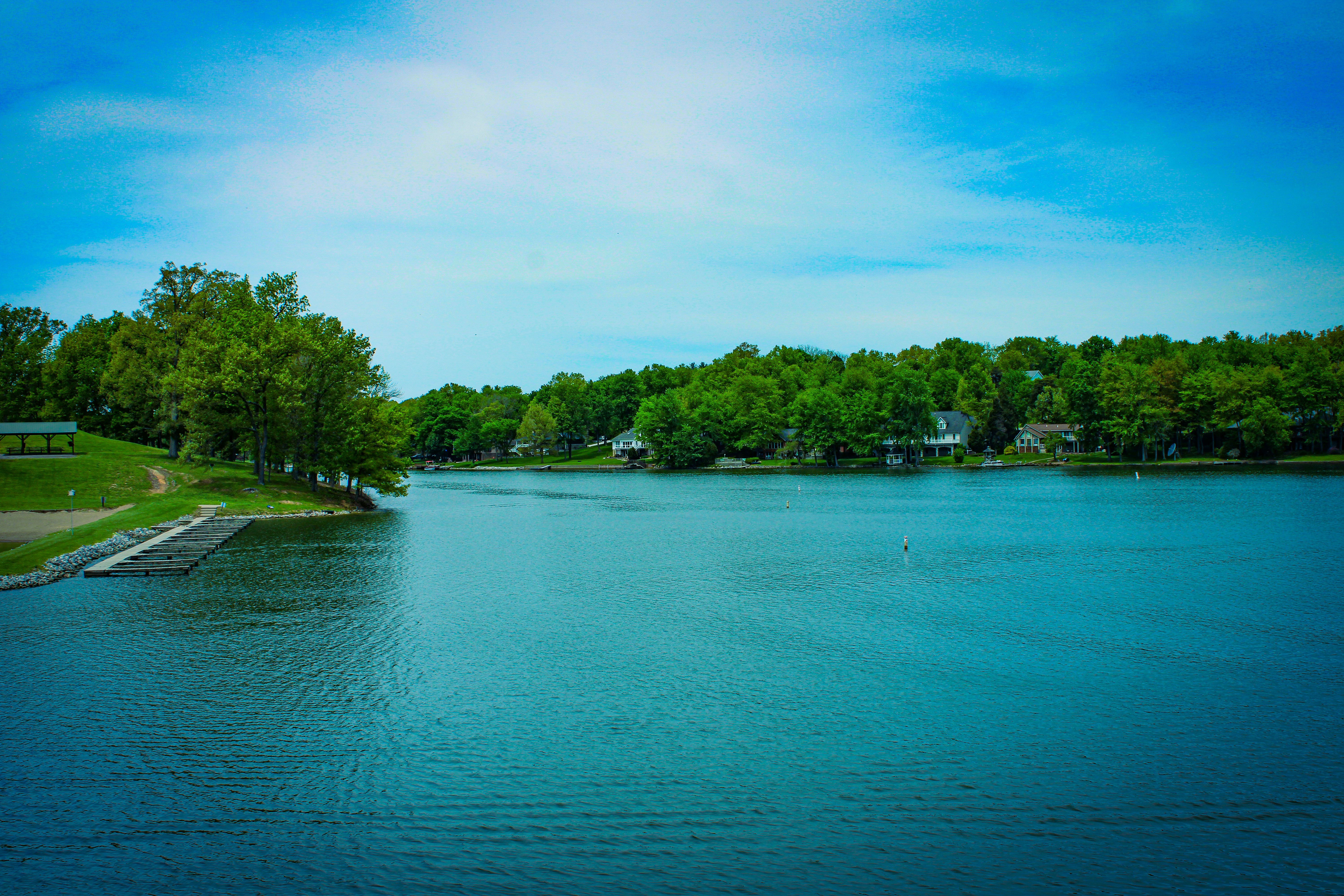a large body of water surrounded by trees