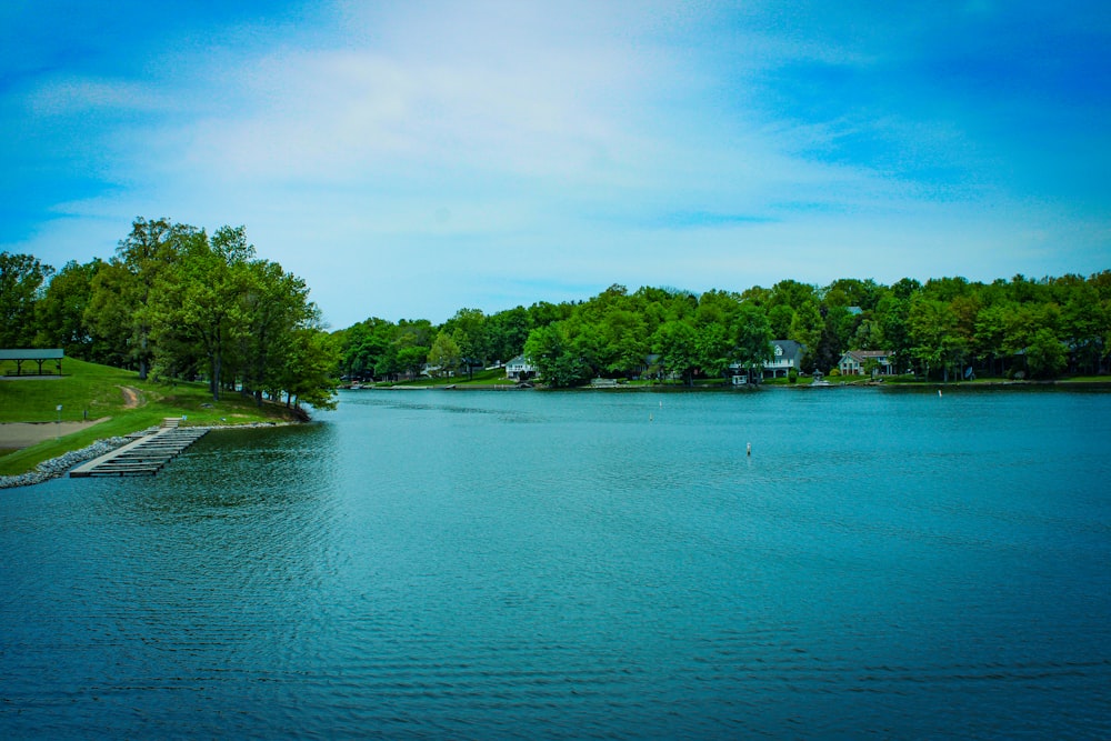 a large body of water surrounded by trees