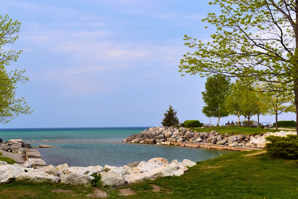 a body of water surrounded by trees and rocks