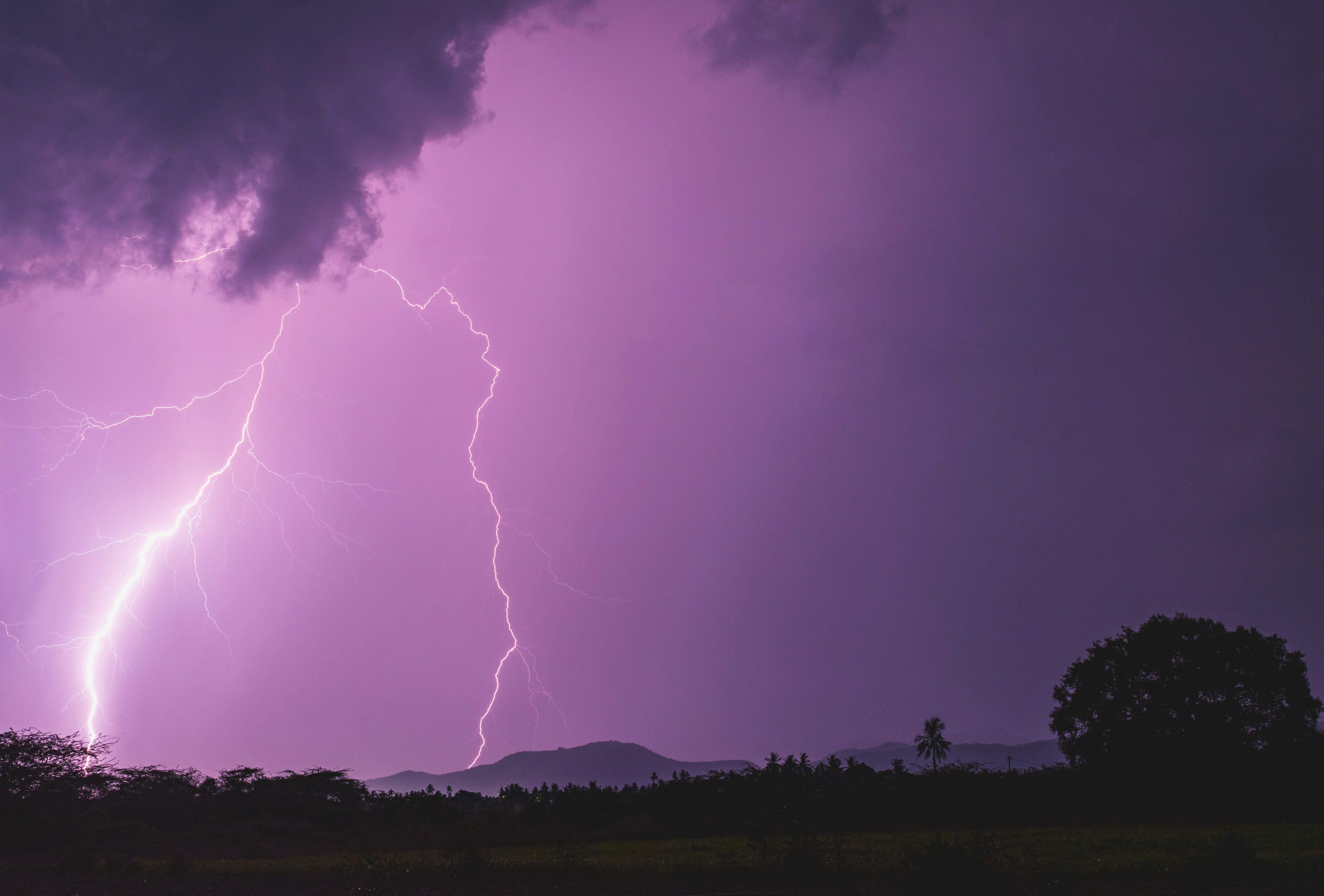 Photo by navi_photography