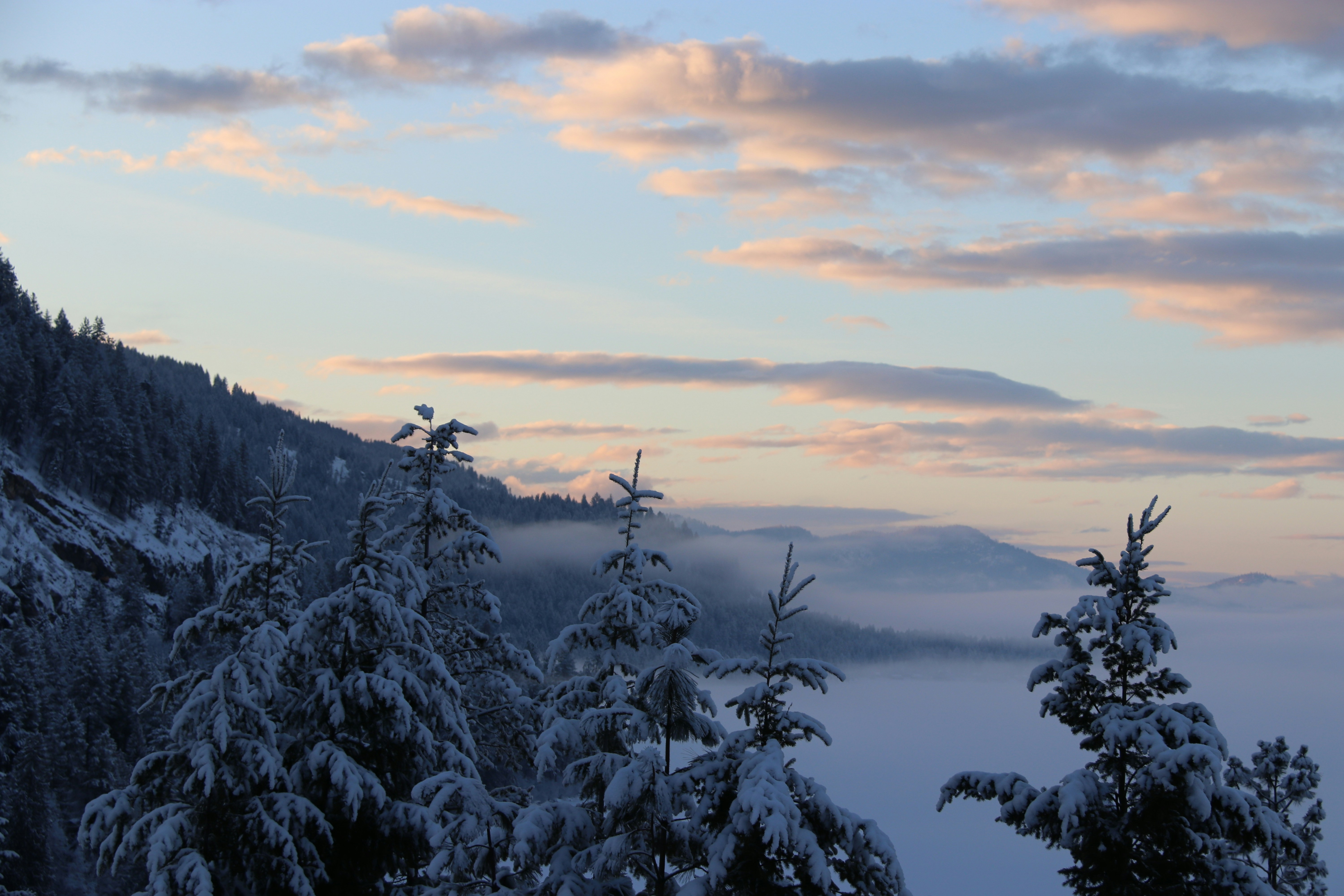 Photo by willshelley