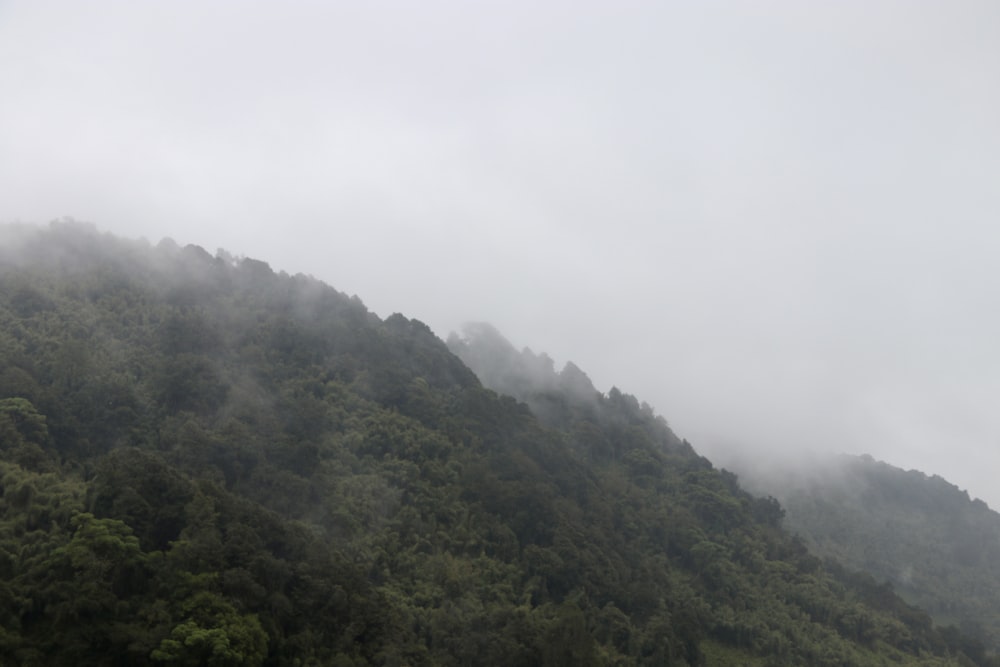 a mountain covered in fog and low lying clouds