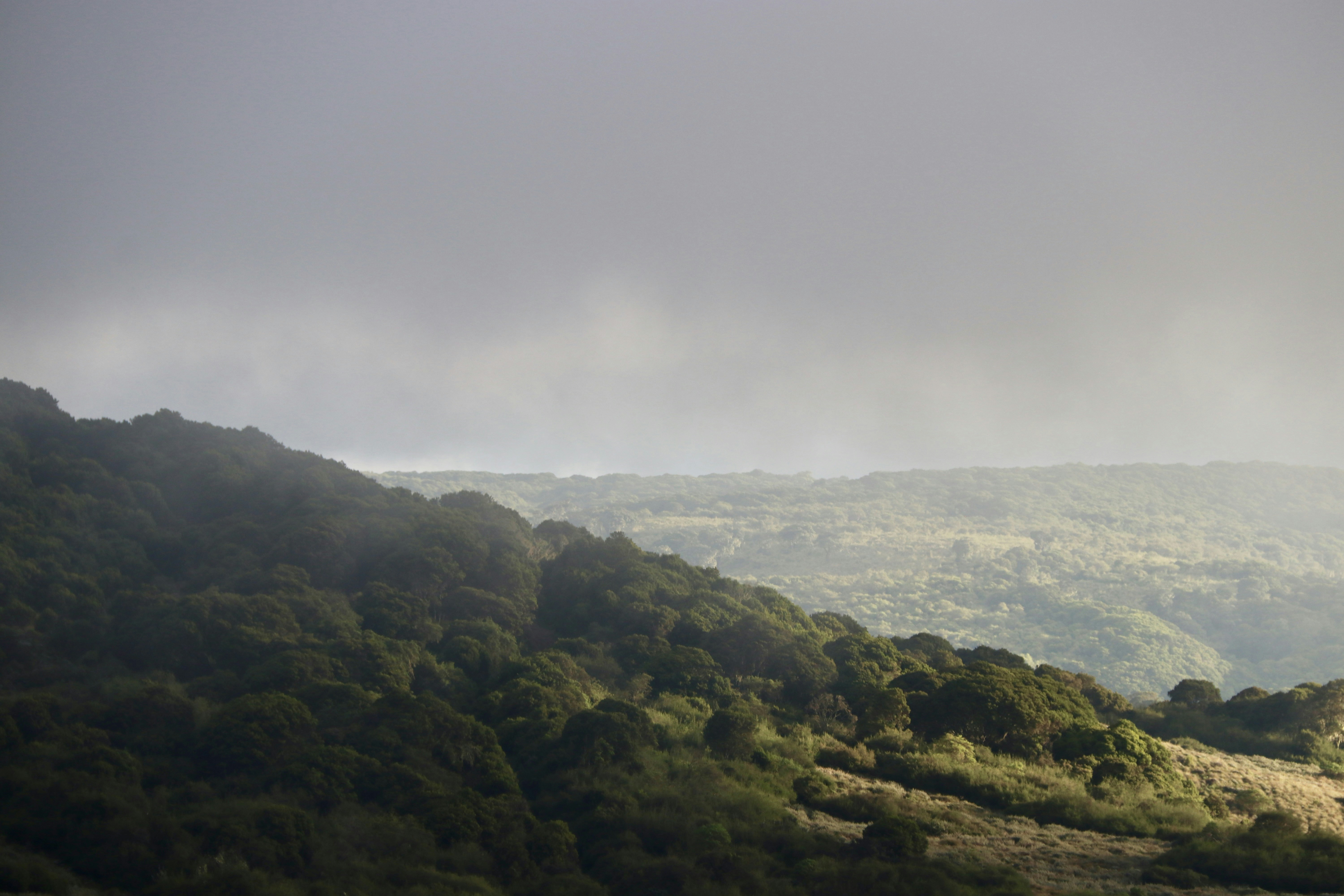 Photo by willshelley