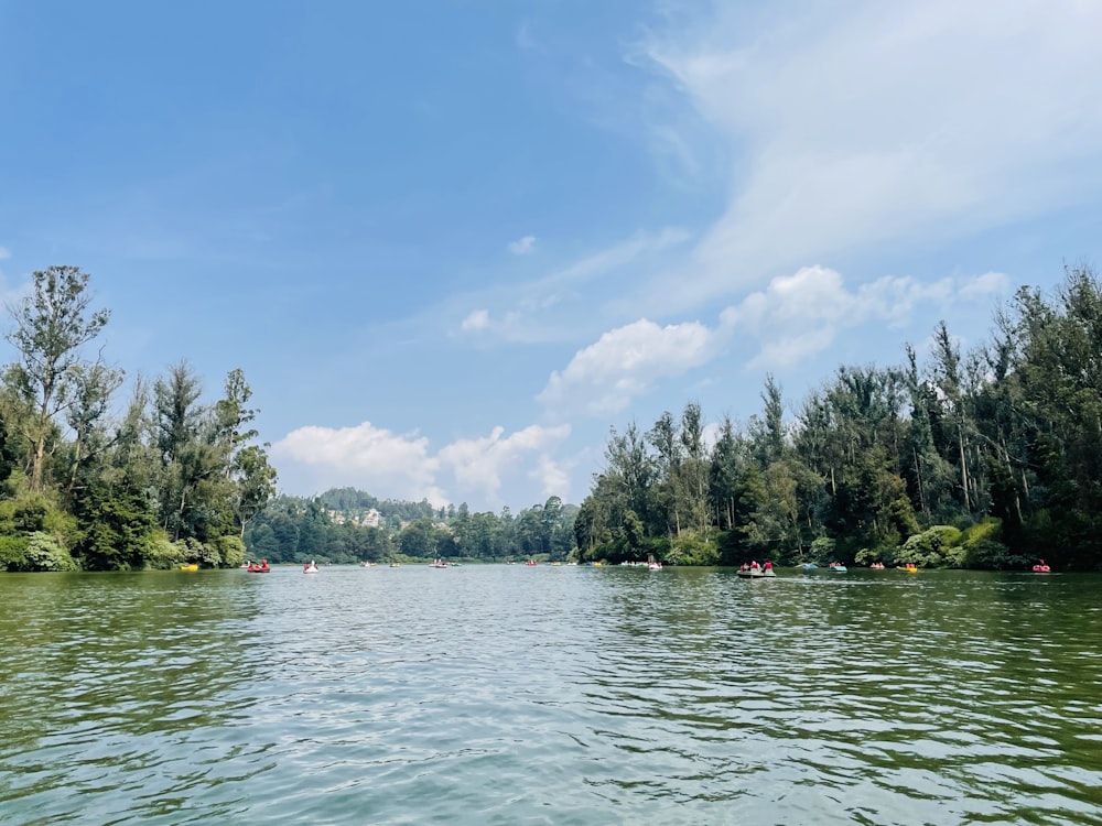 a body of water surrounded by trees on a sunny day