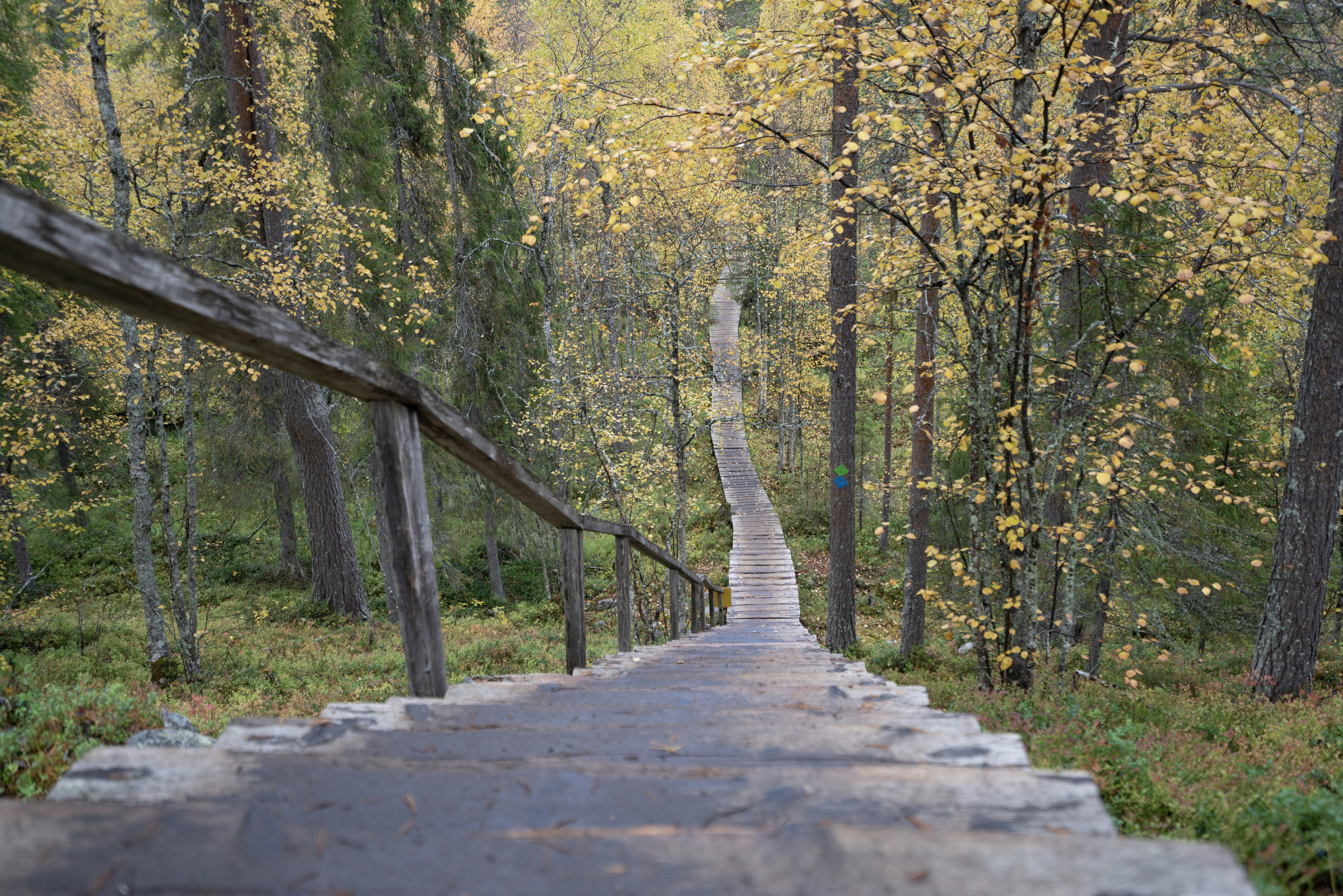 Photo by datingjungle